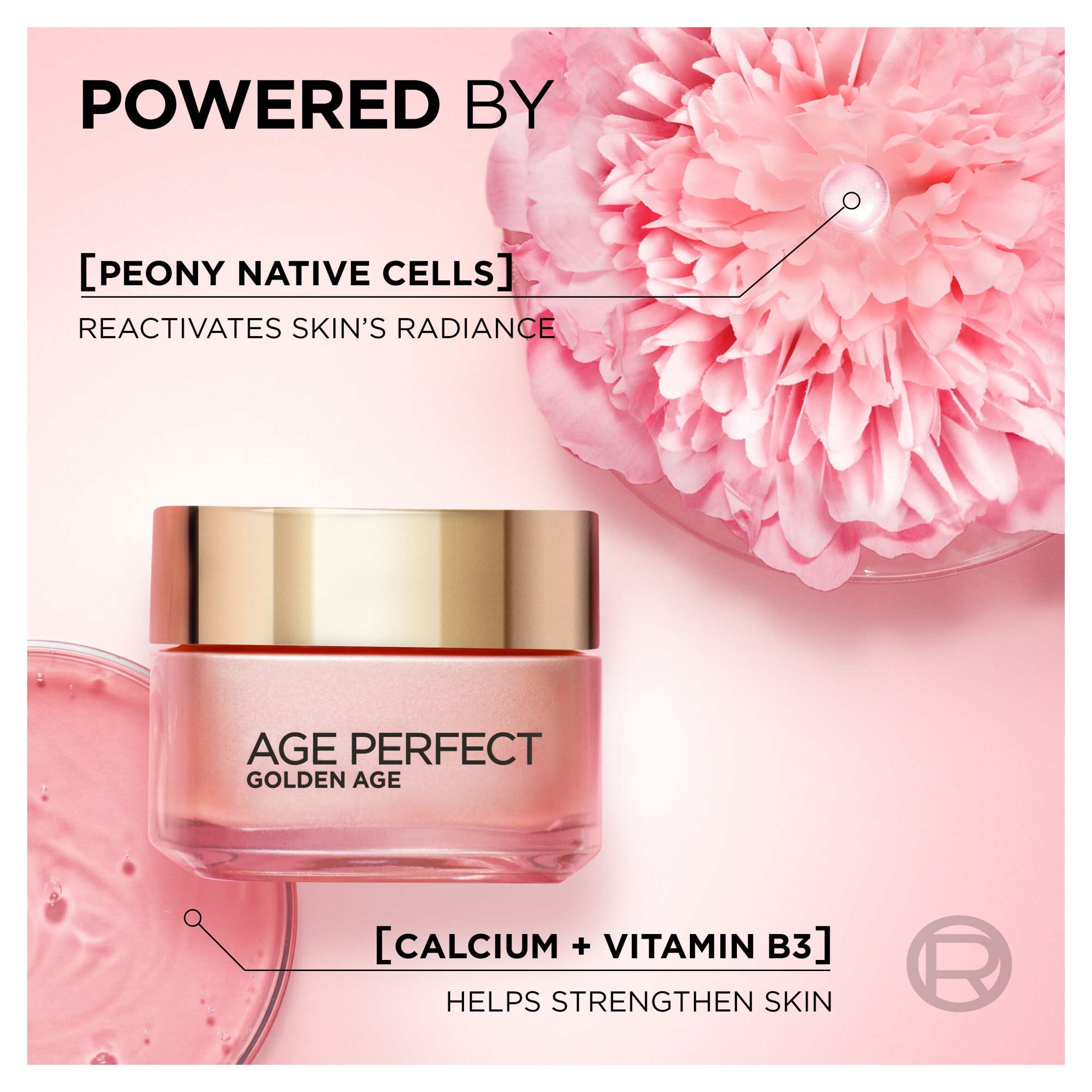 L'Oreal Paris Age Perfect Golden Age Rosy Day Cream 50Ml thumbnail 2