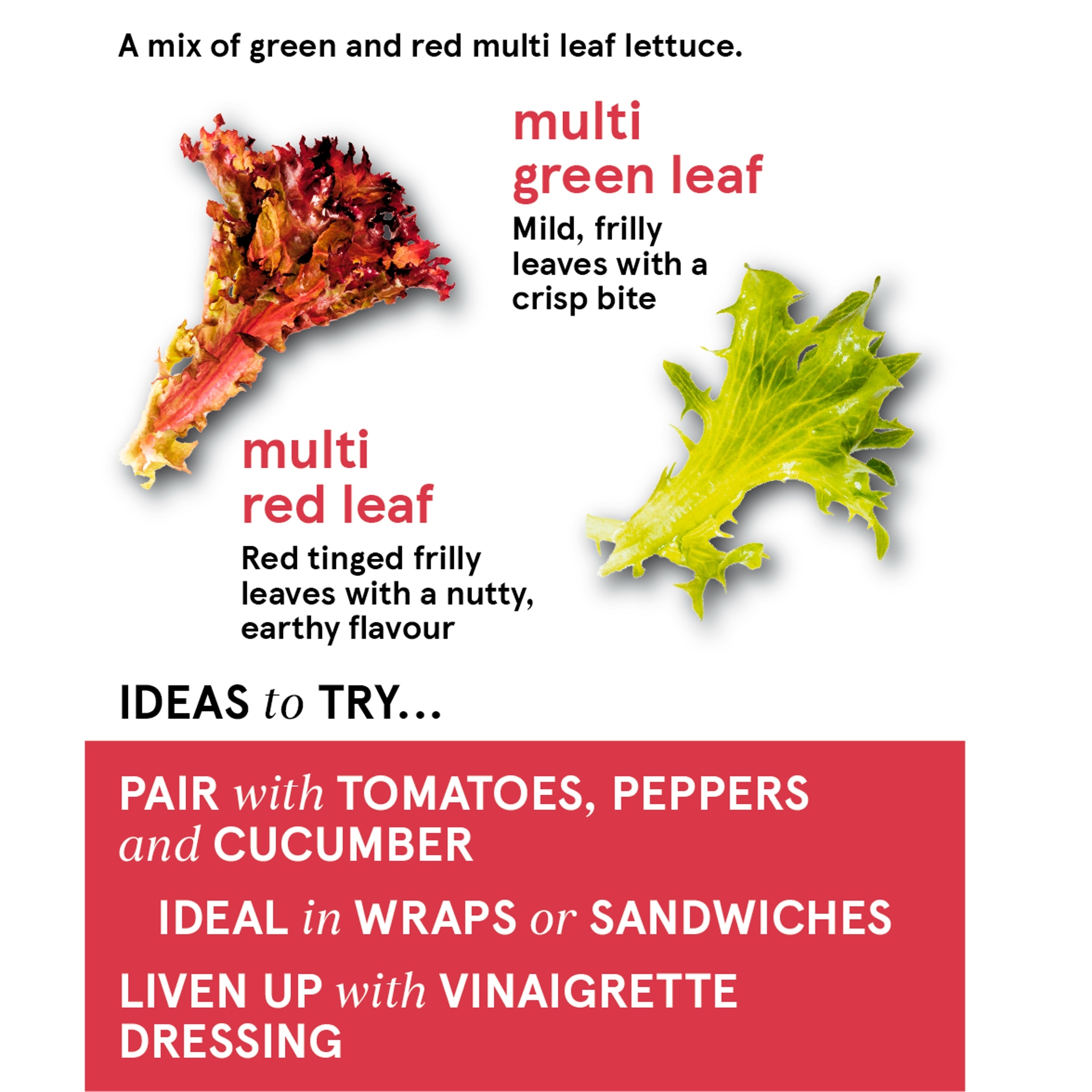Tesco Mixed Leaf Salad 120G thumbnail 2