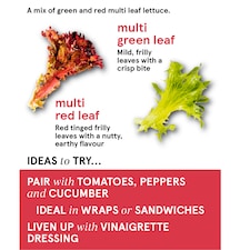 Tesco Mixed Leaf Salad 120G thumbnail 2