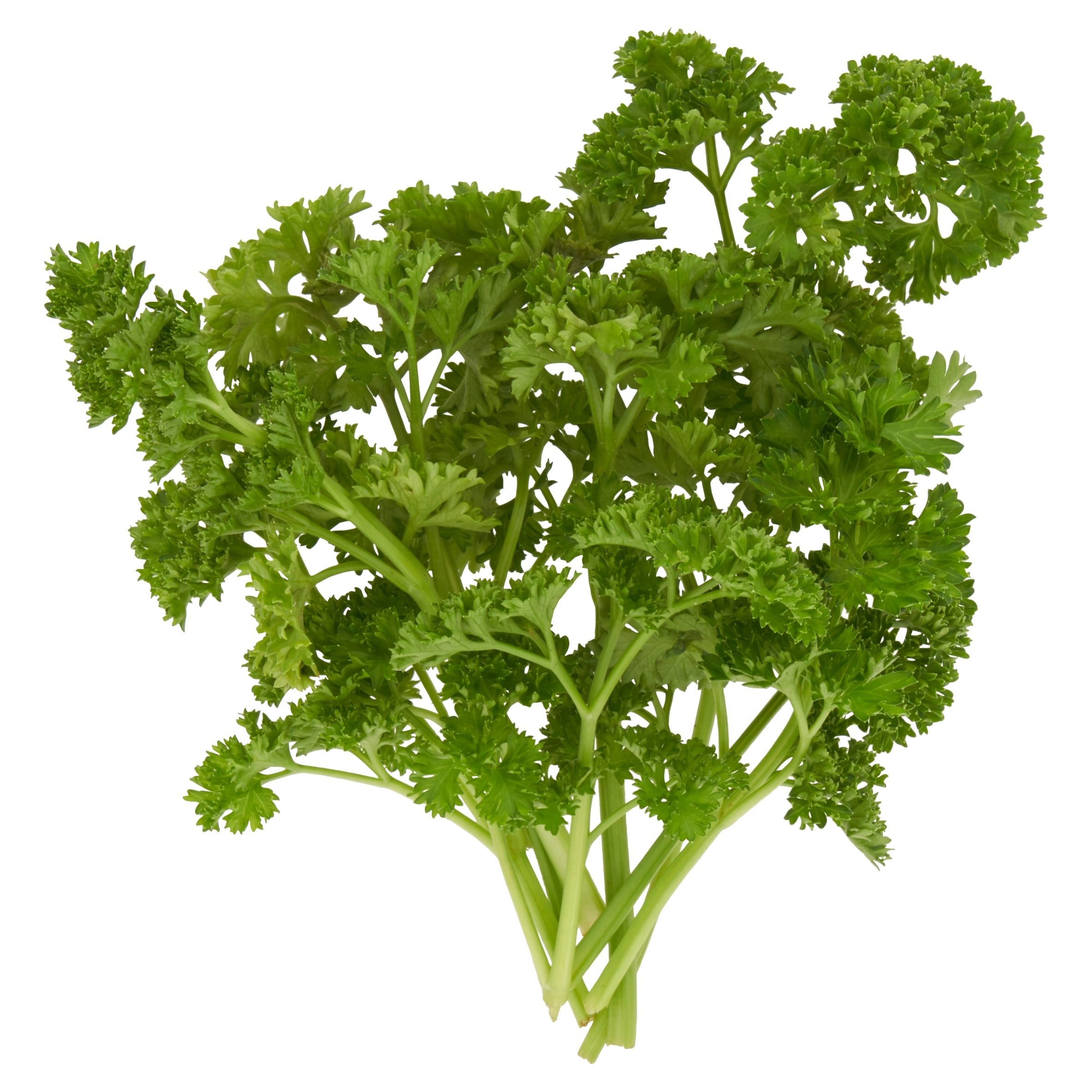 Tesco Curled Leaf Parsley 30g thumbnail 2