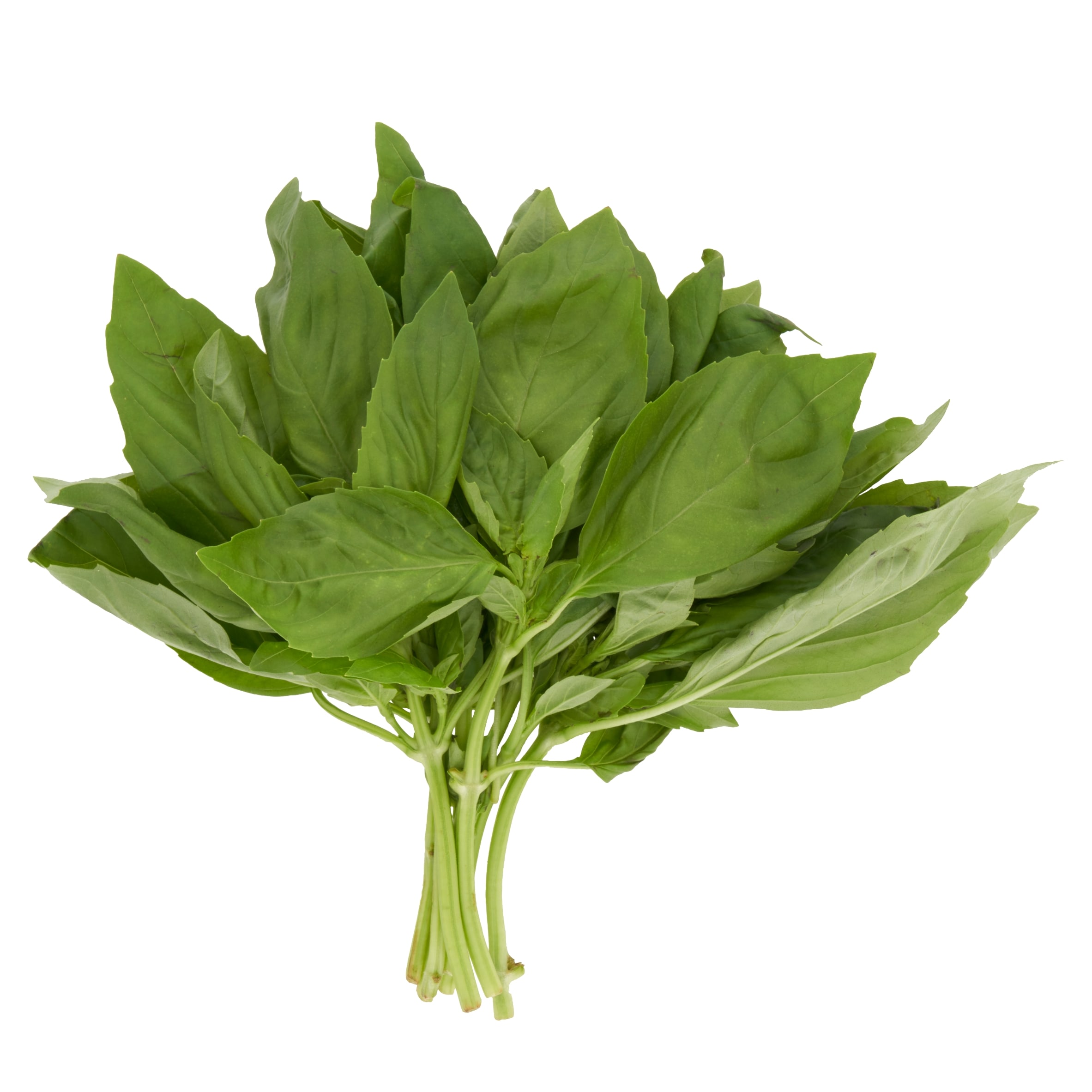 Tesco Cut Basil 30G thumbnail 2