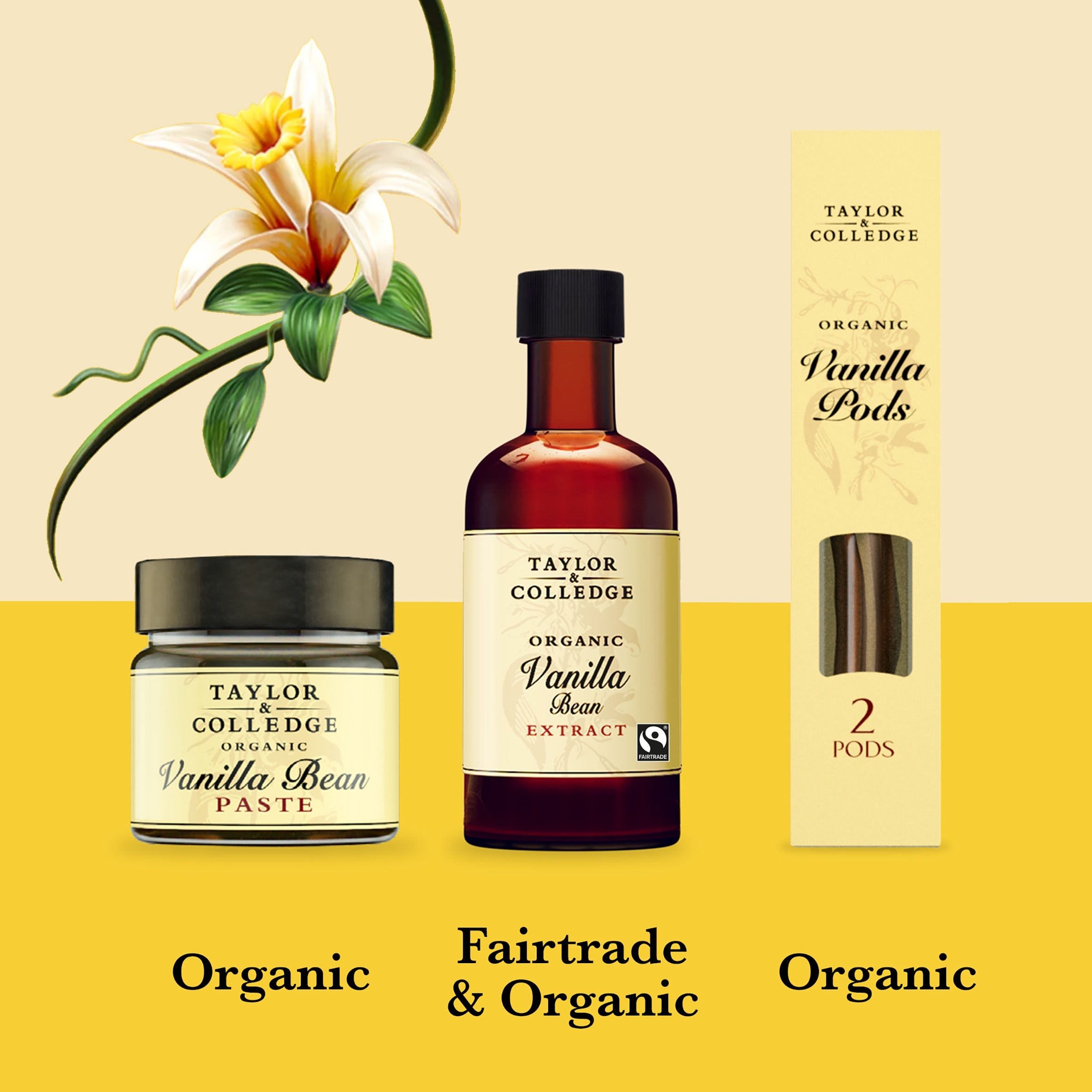 Taylor & Colledge Organic Vanilla Bean Paste 65G thumbnail 3