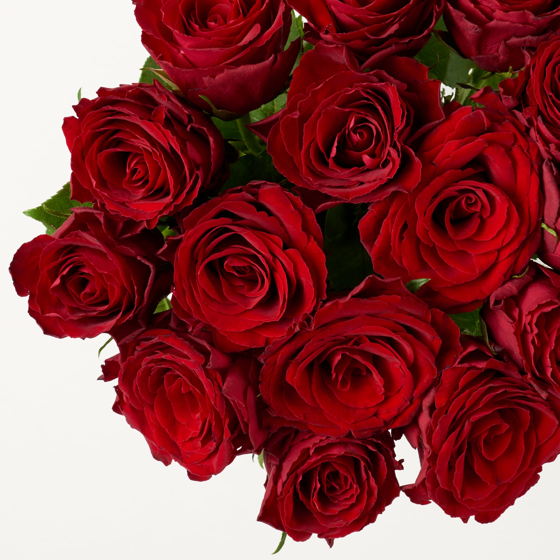 Tesco Red & Orange Roses Flowers Bouquet thumbnail 4