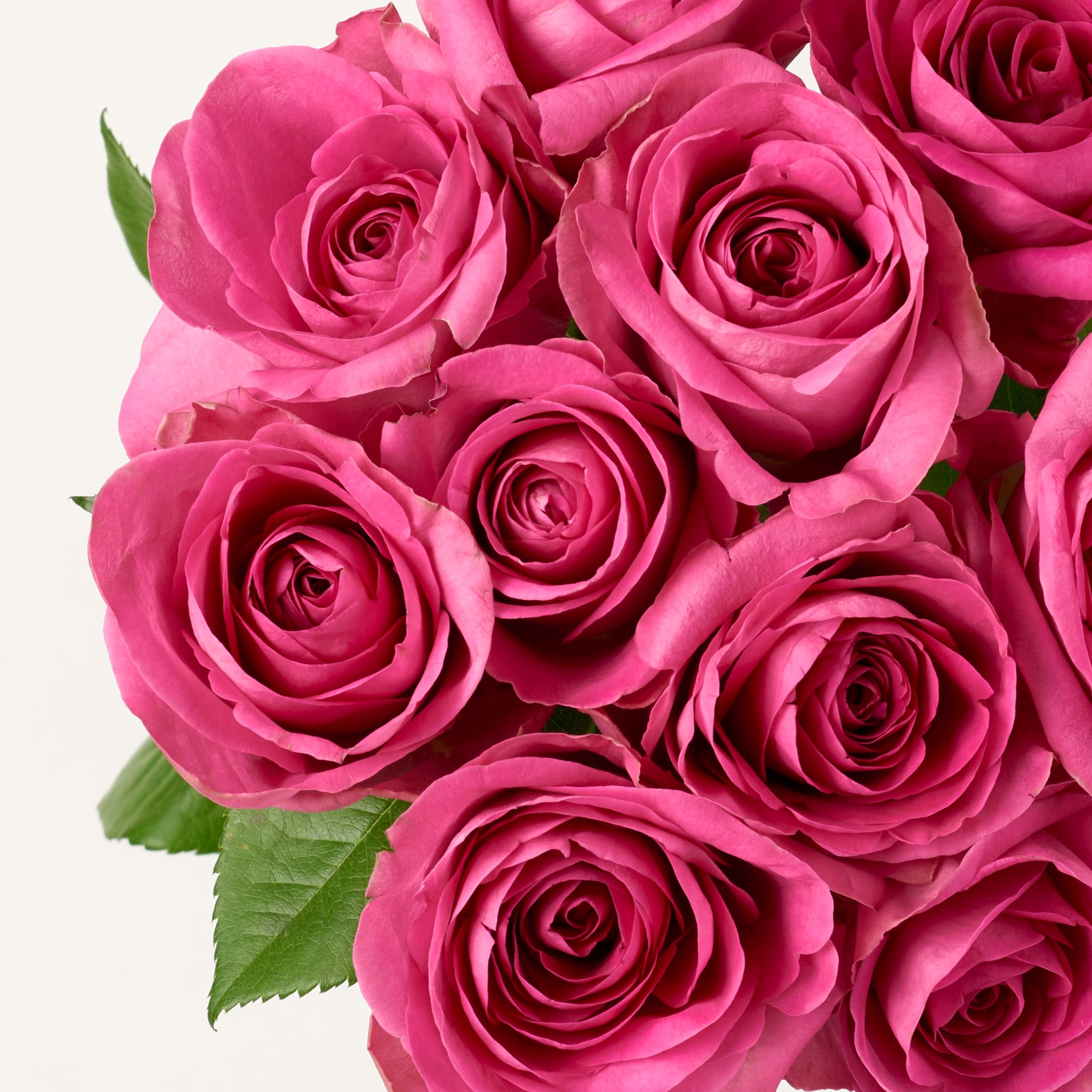 Tesco Pink Roses Bouquet Small thumbnail 4