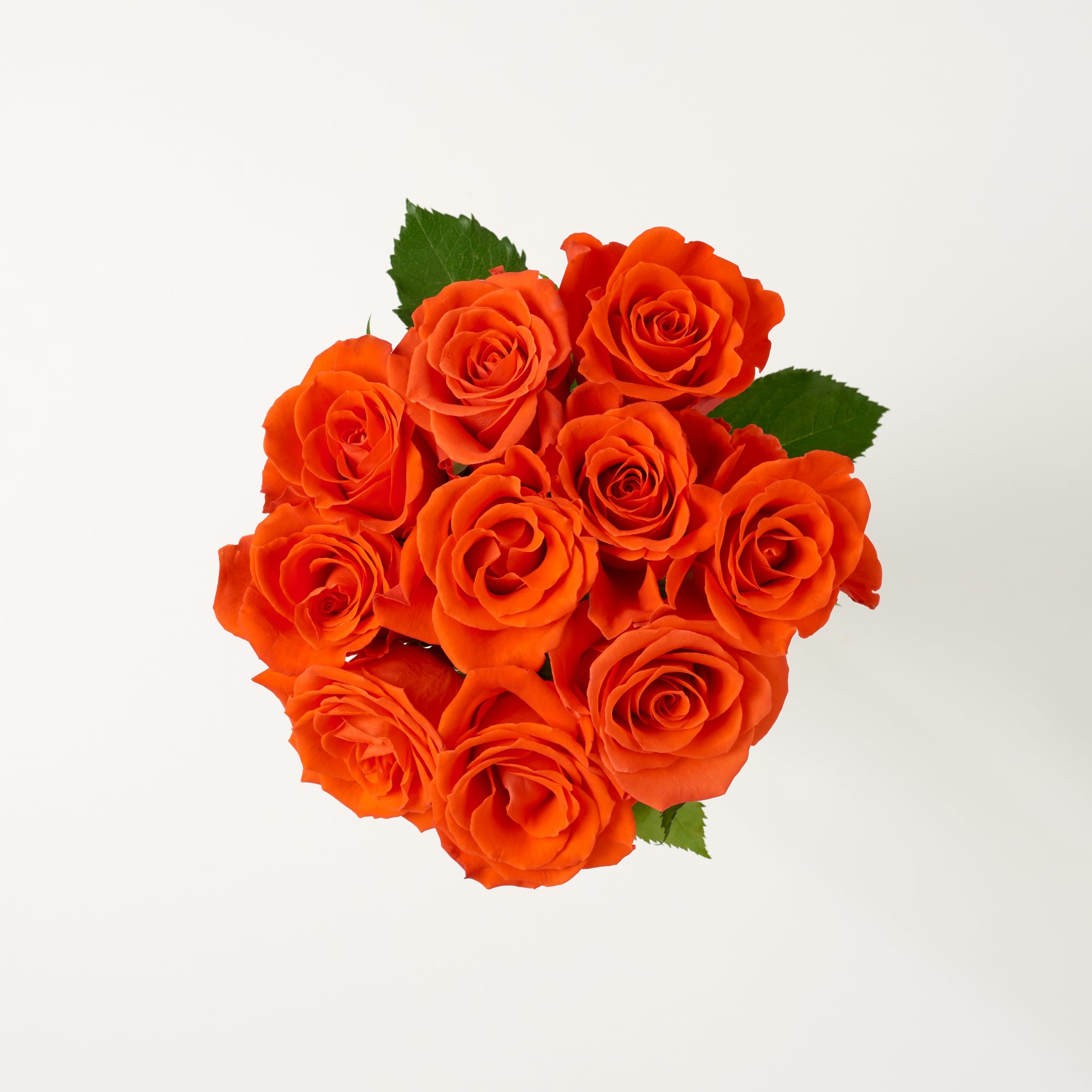 Tesco Small Red & Orange Roses Bouquet thumbnail 3