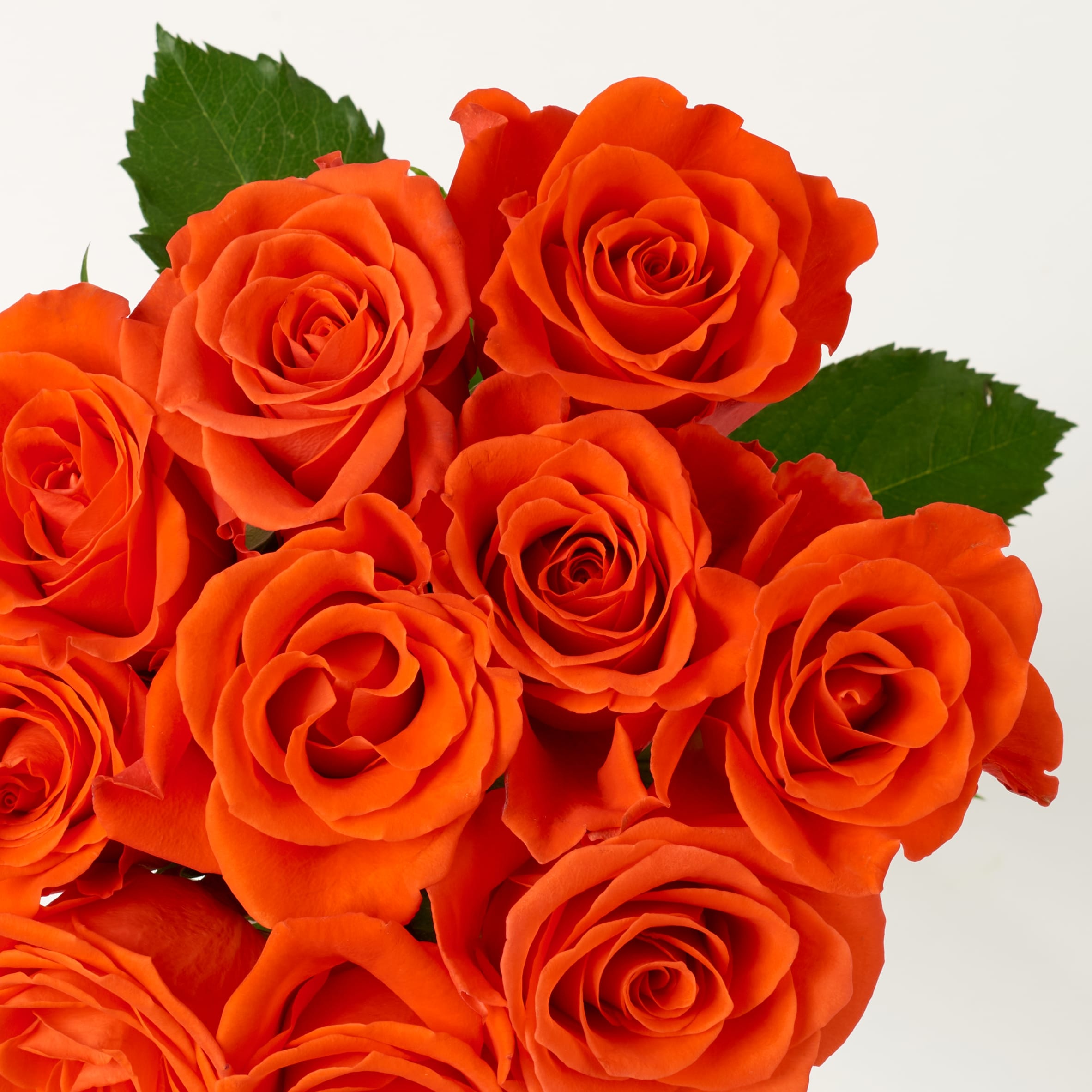 Tesco Small Red & Orange Roses Bouquet thumbnail 4