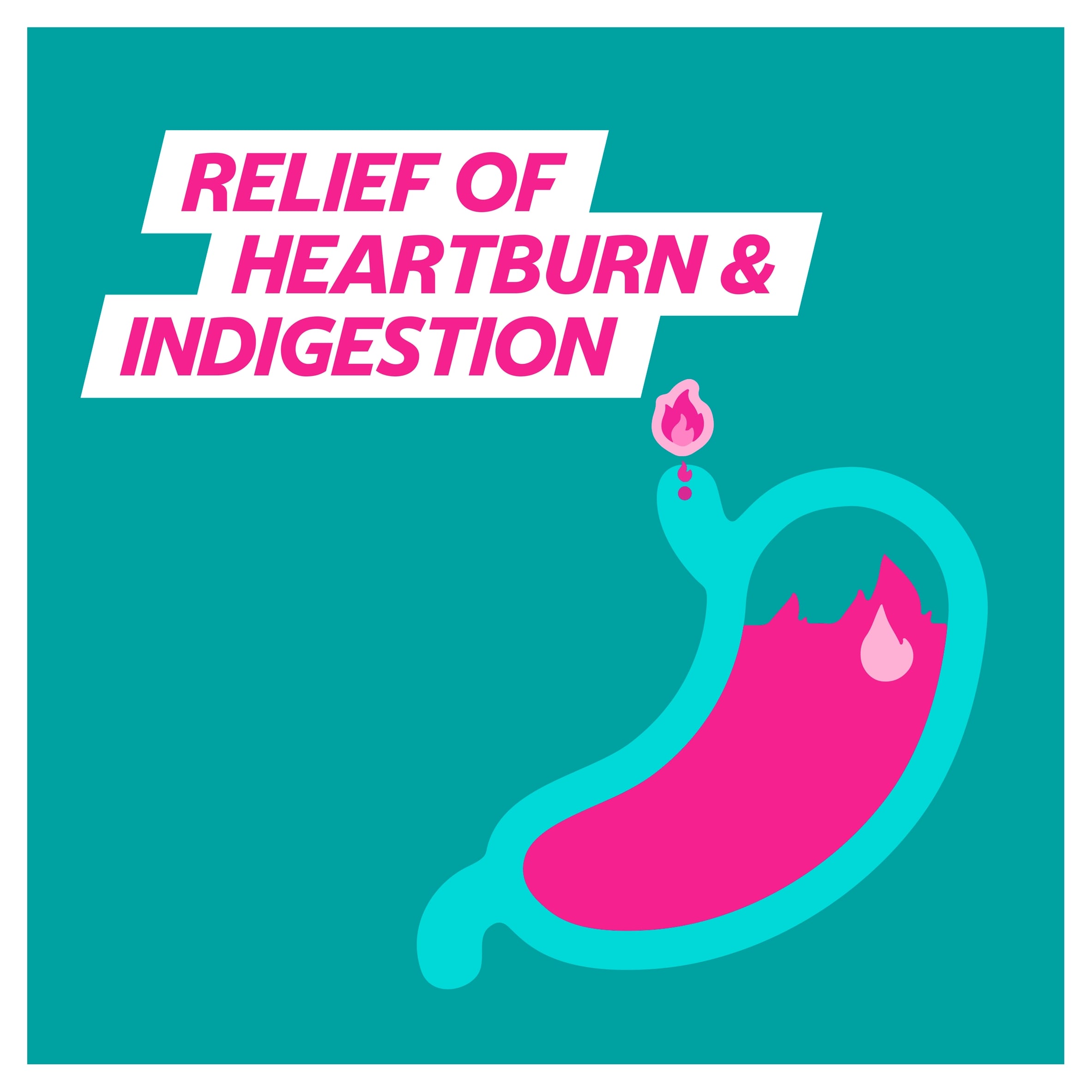 Gaviscon Double Action Mint Heartburn & Indigestion Chewable Tablets 12s thumbnail 5
