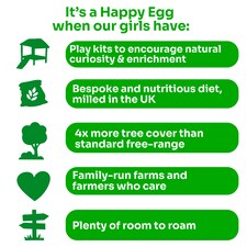 Happy Egg Co. Free Range Eggs 10 Mixed Weight thumbnail 3
