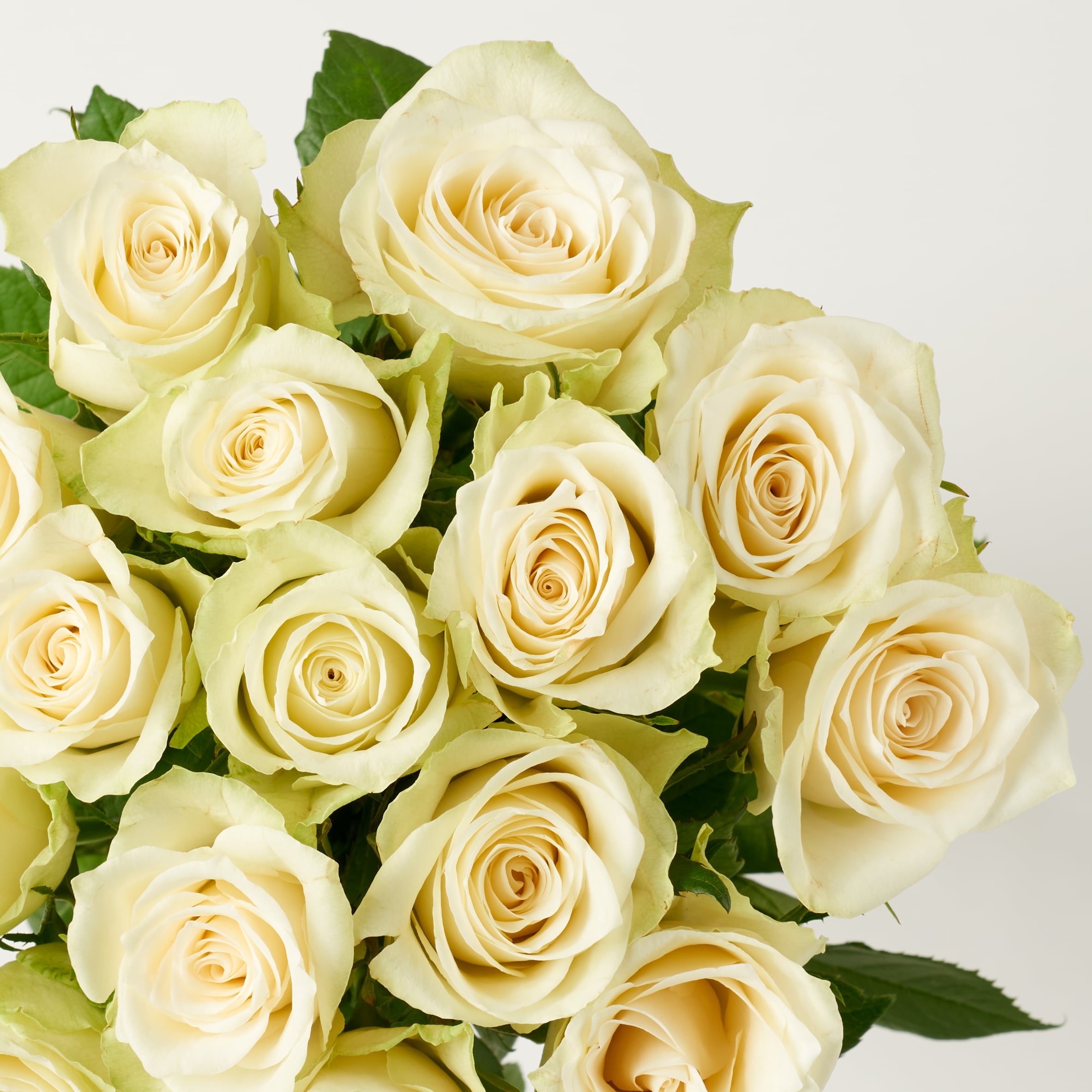 Tesco White Roses Flowers Bouquet thumbnail 4