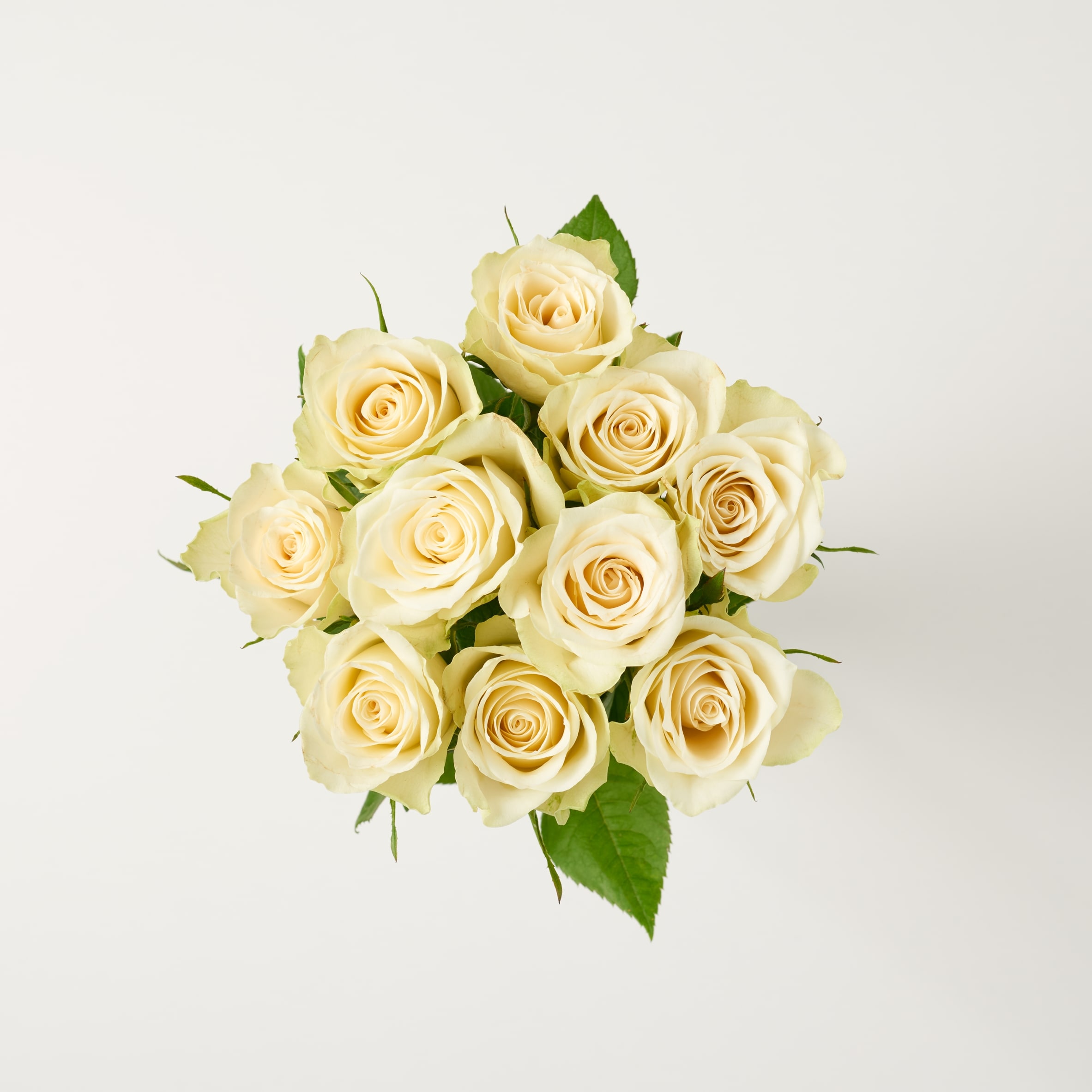 Tesco Small White Roses Bouquet thumbnail 3