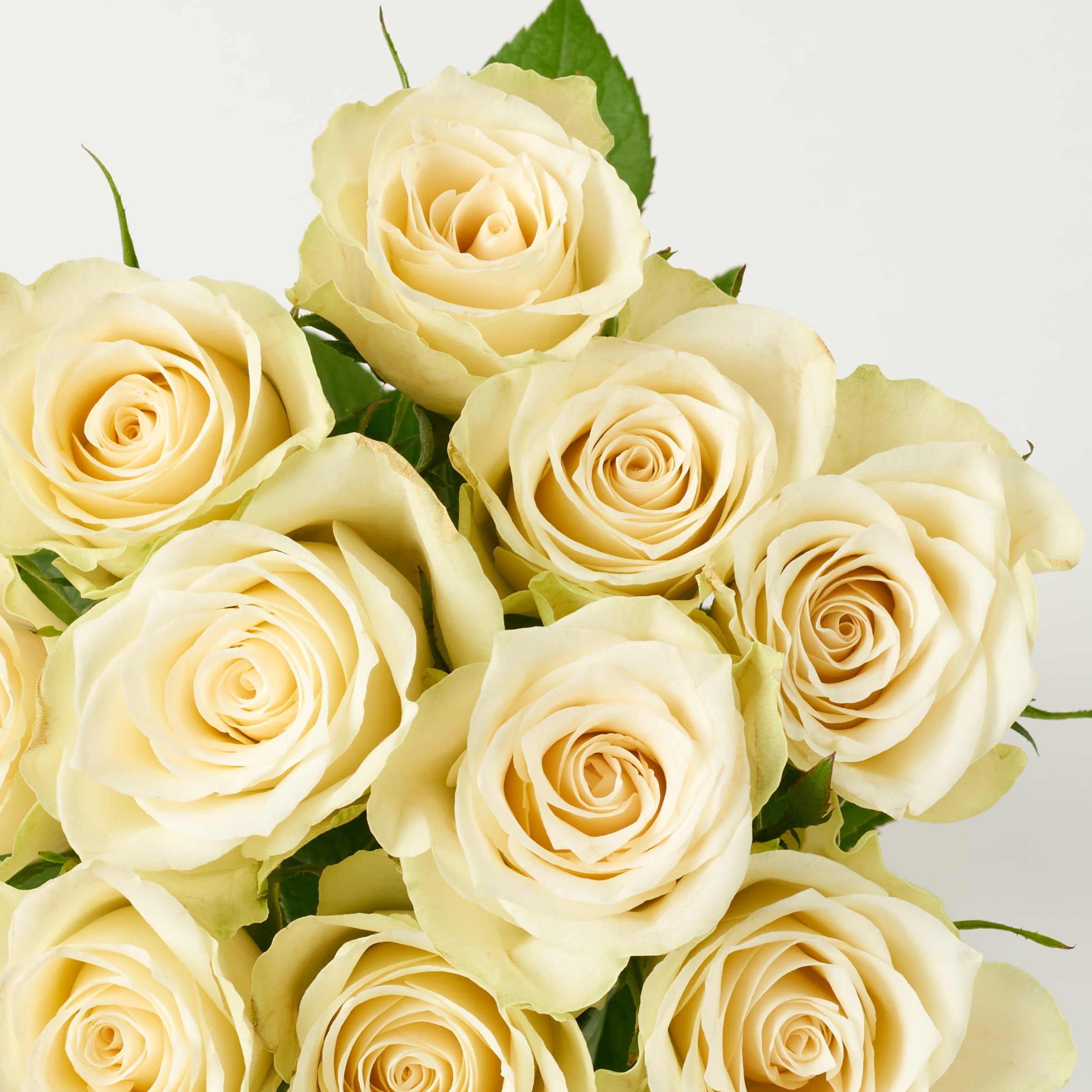 Tesco Small White Roses Bouquet thumbnail 4