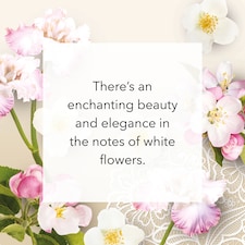 Yankee 6 Wax Melts White Linen & Lace thumbnail 2