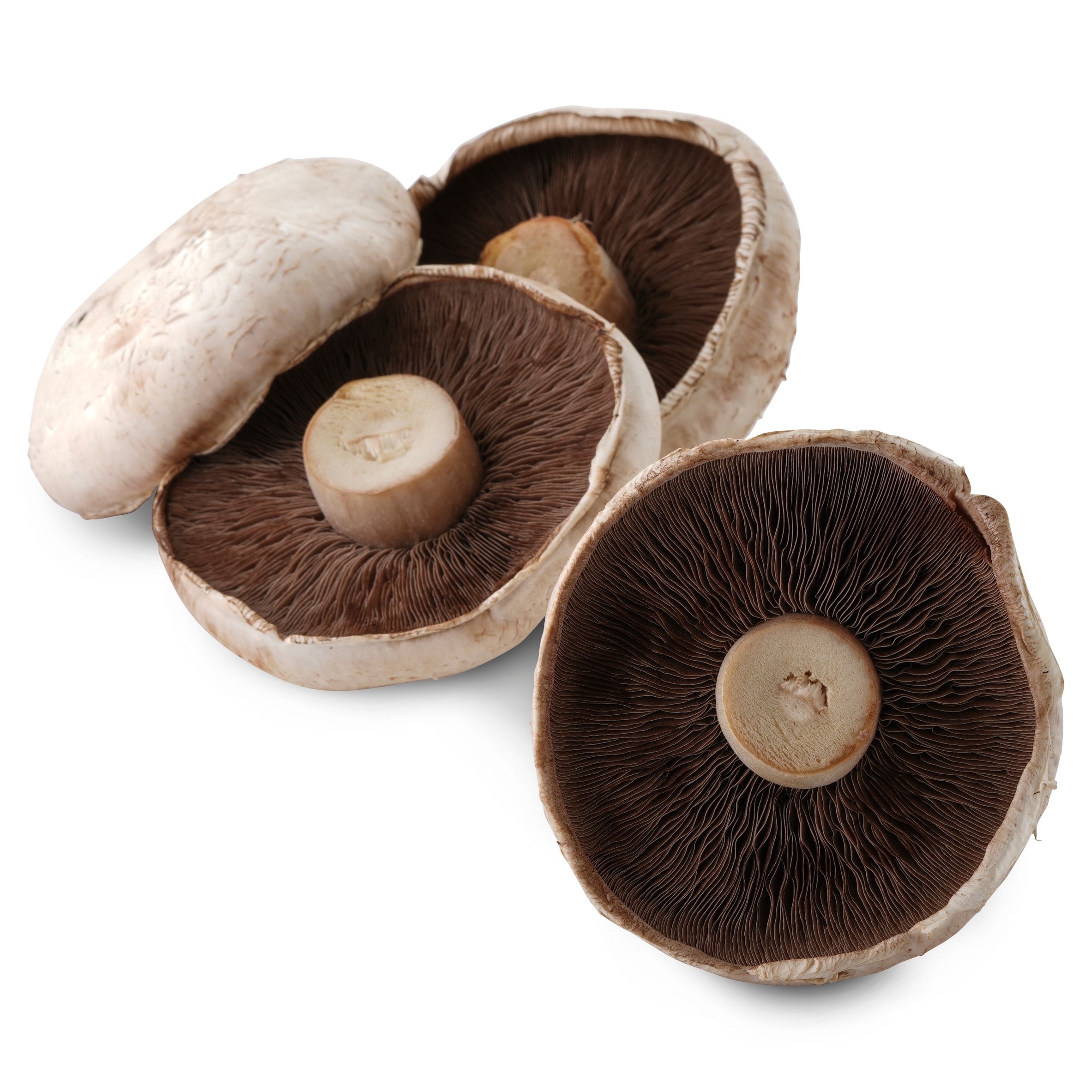 Tesco Large Flat Mushrooms 250G thumbnail 2