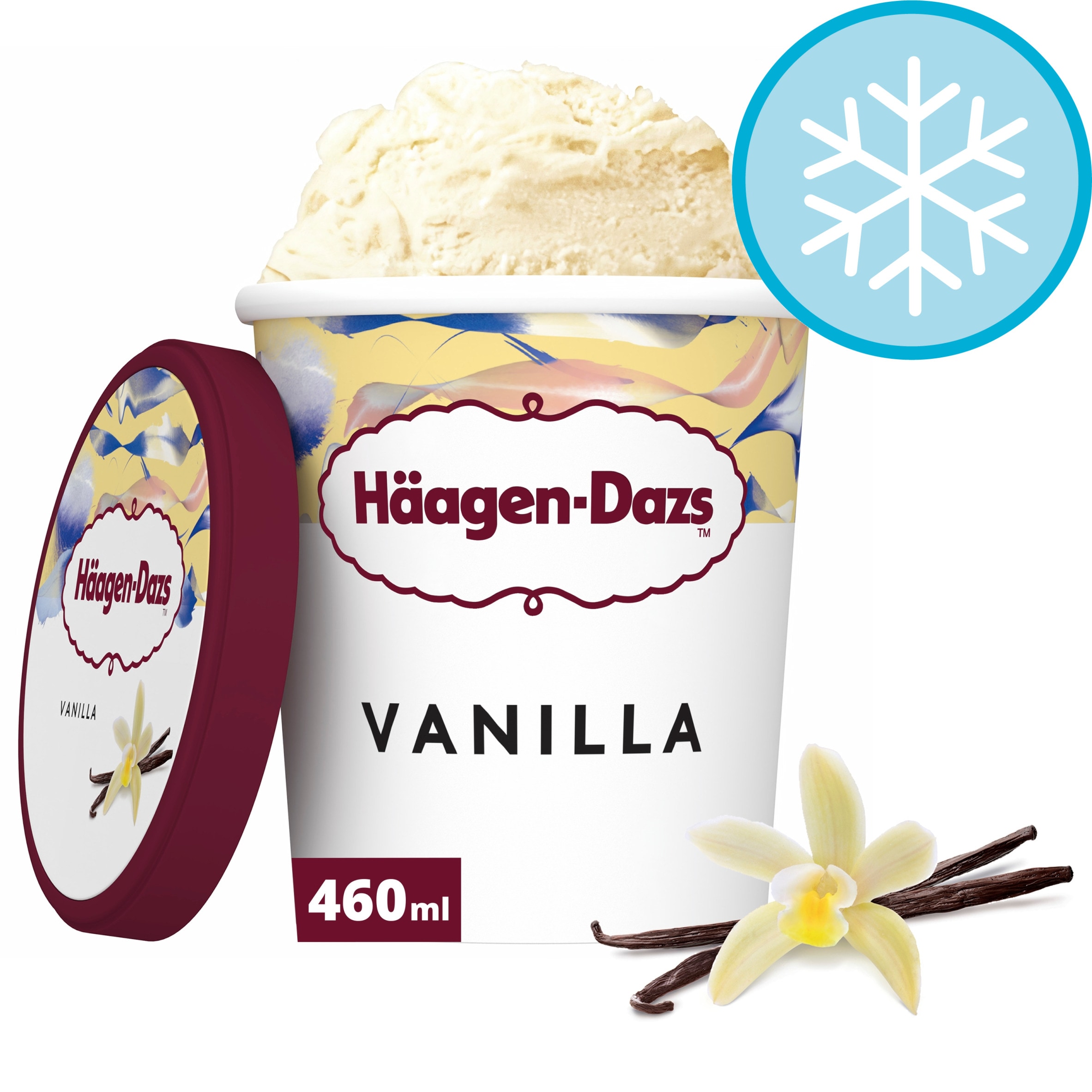Haagen-Dazs Vanilla Ice Cream