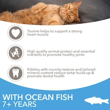 Iams Cat Food Senior With Ocean Fish 800G thumbnail 3