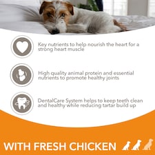 Iams Senior Dog Dry Food Small/Medium Breed With Fresh Chicken 2kg thumbnail 3