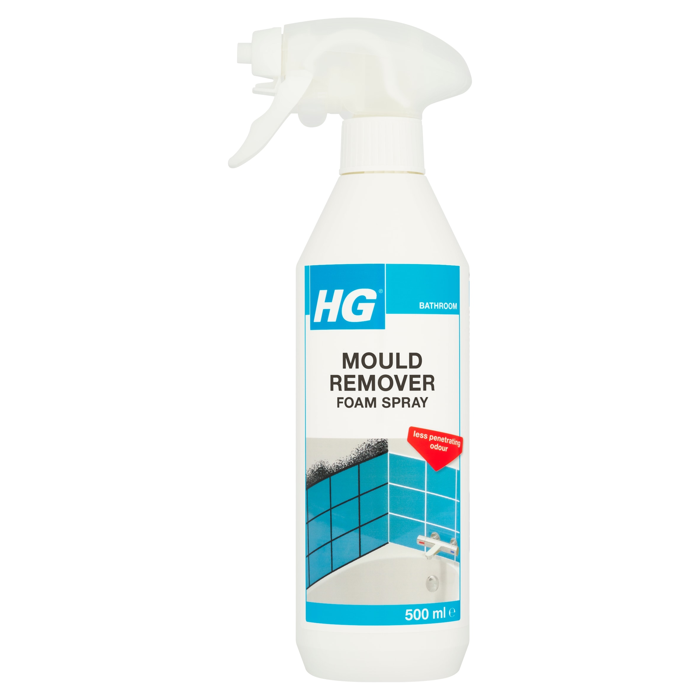HG Mould Remover Foam Spray