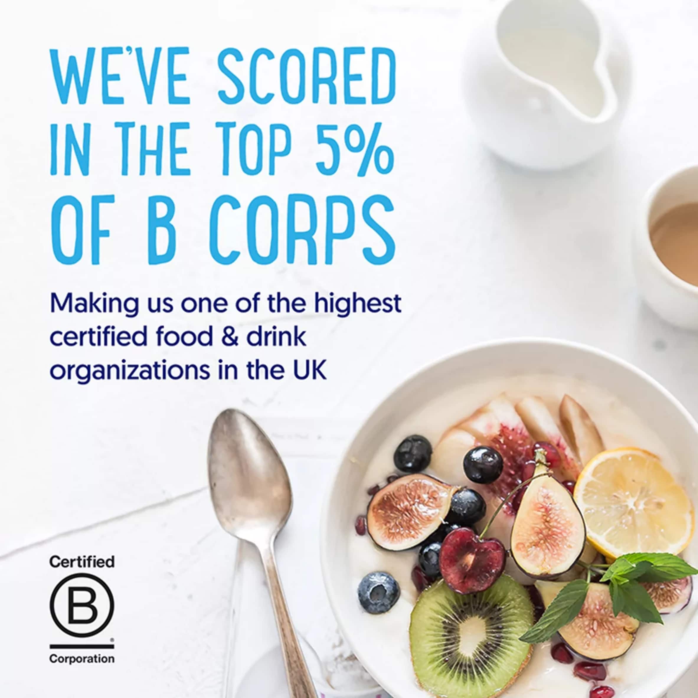 Alpro Vanilla Dairy Free Soya Custard 525g thumbnail 3