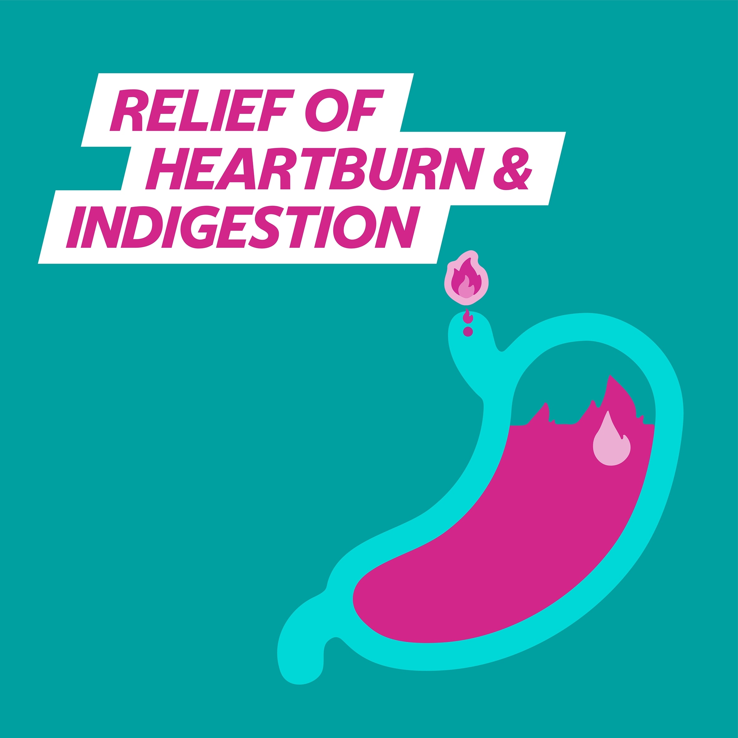 Gaviscon Double Action Mixed Berries Heartburn & Indigestion Chewable Tablets 12s thumbnail 4