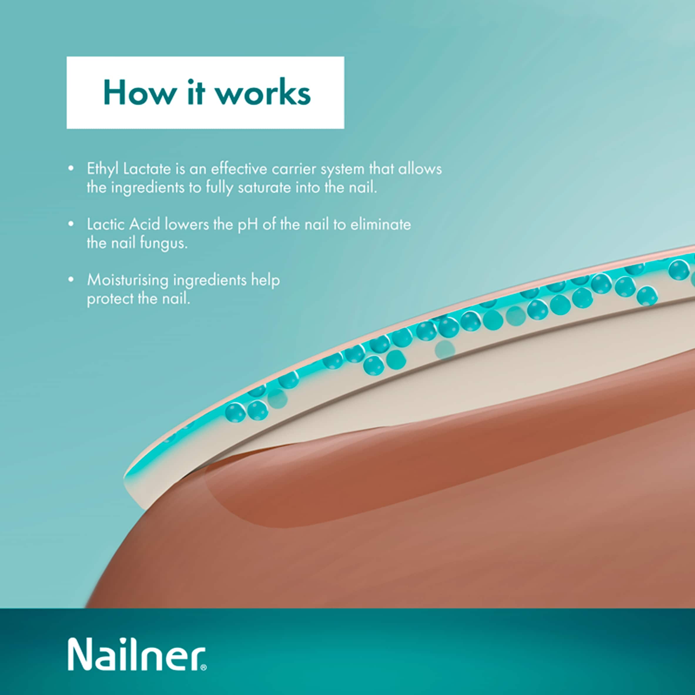 Nailner 2 in 1 Brush Antifungal Nail Treatment 5ml for Fungal Nails thumbnail 4