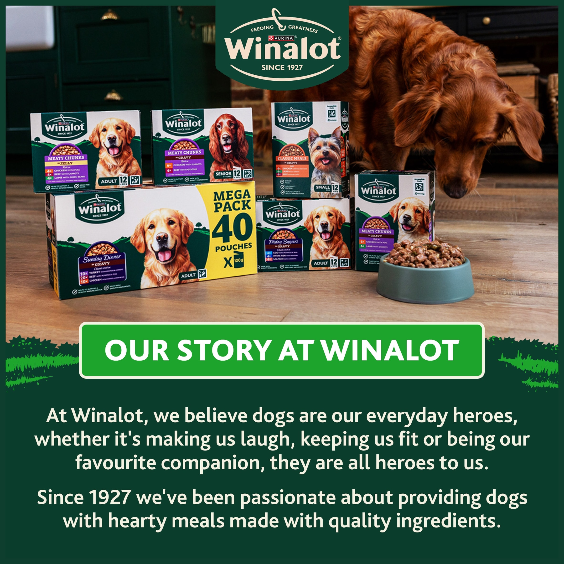 WINALOT Sunday Dinner Mixed in Gravy Wet Dog Food 12x100g thumbnail 7