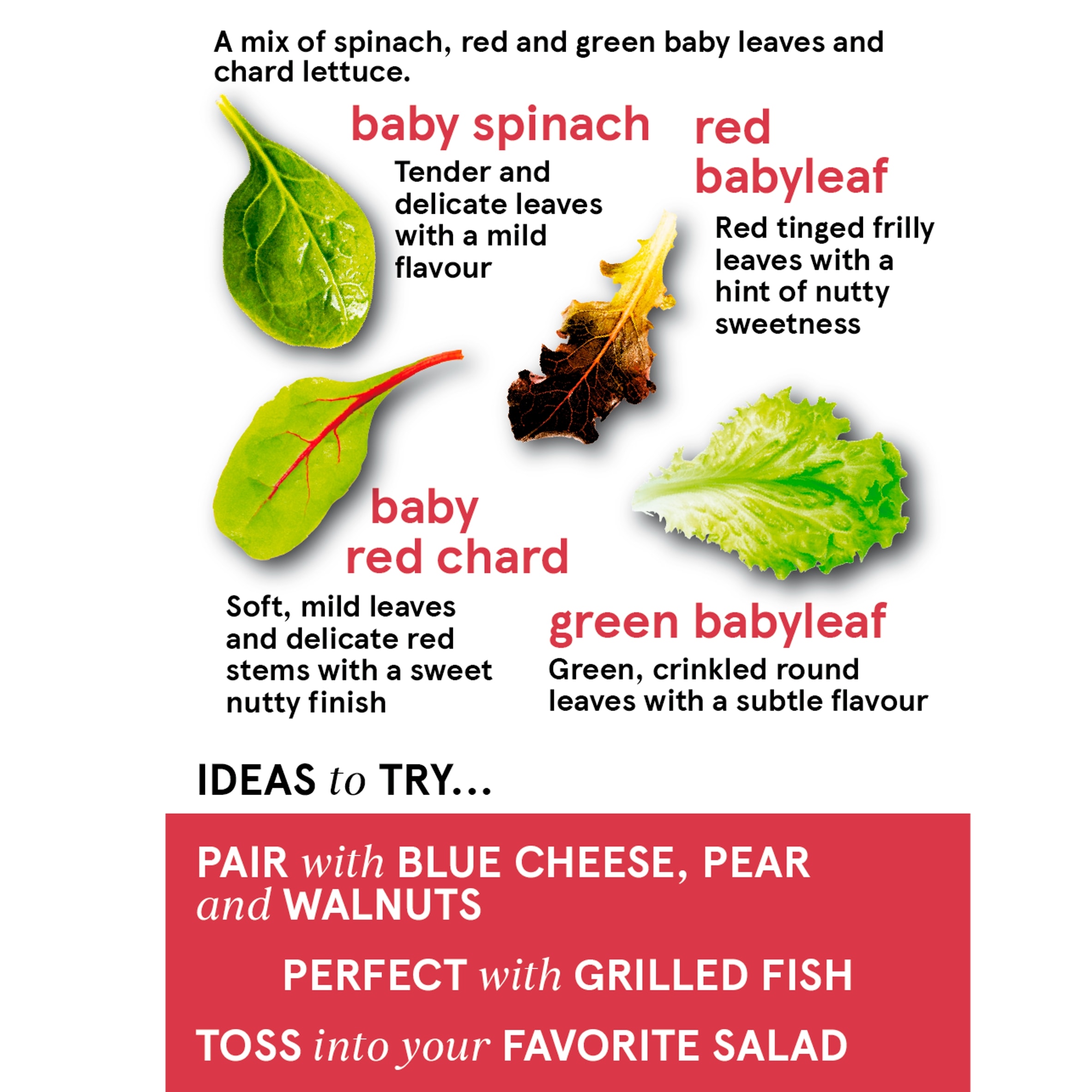 Tesco Babyleaf Salad 90G thumbnail 2