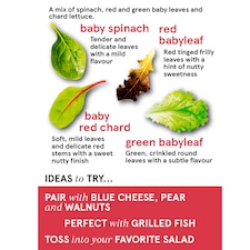 Tesco Babyleaf Salad 90G thumbnail 2