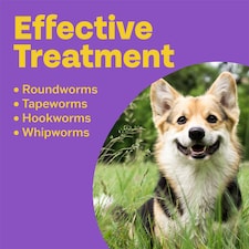 Bob Martin Clear 3 In 1 Wormer Dog 2 Tablets Pack thumbnail 2