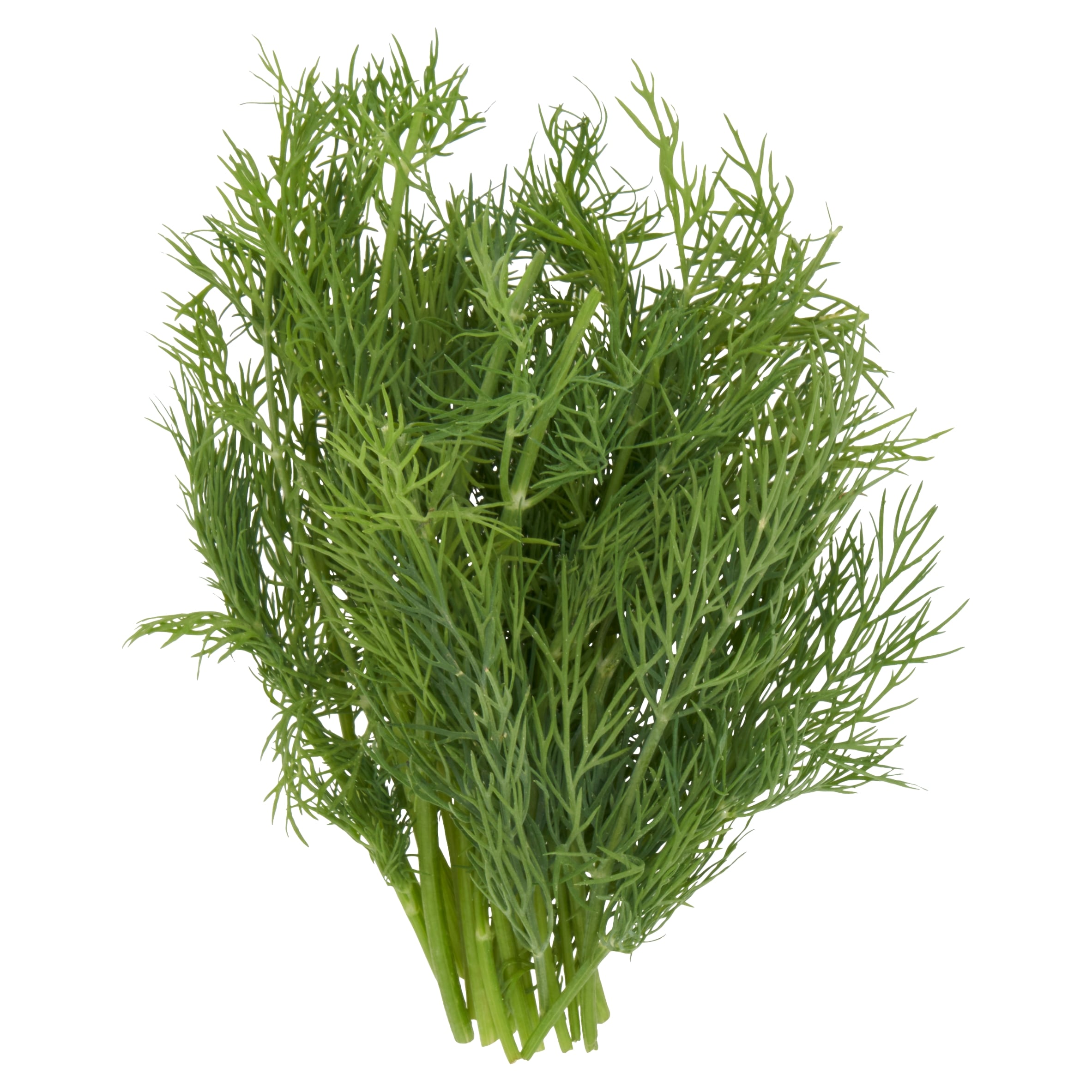 Tesco Dill 20G thumbnail 2