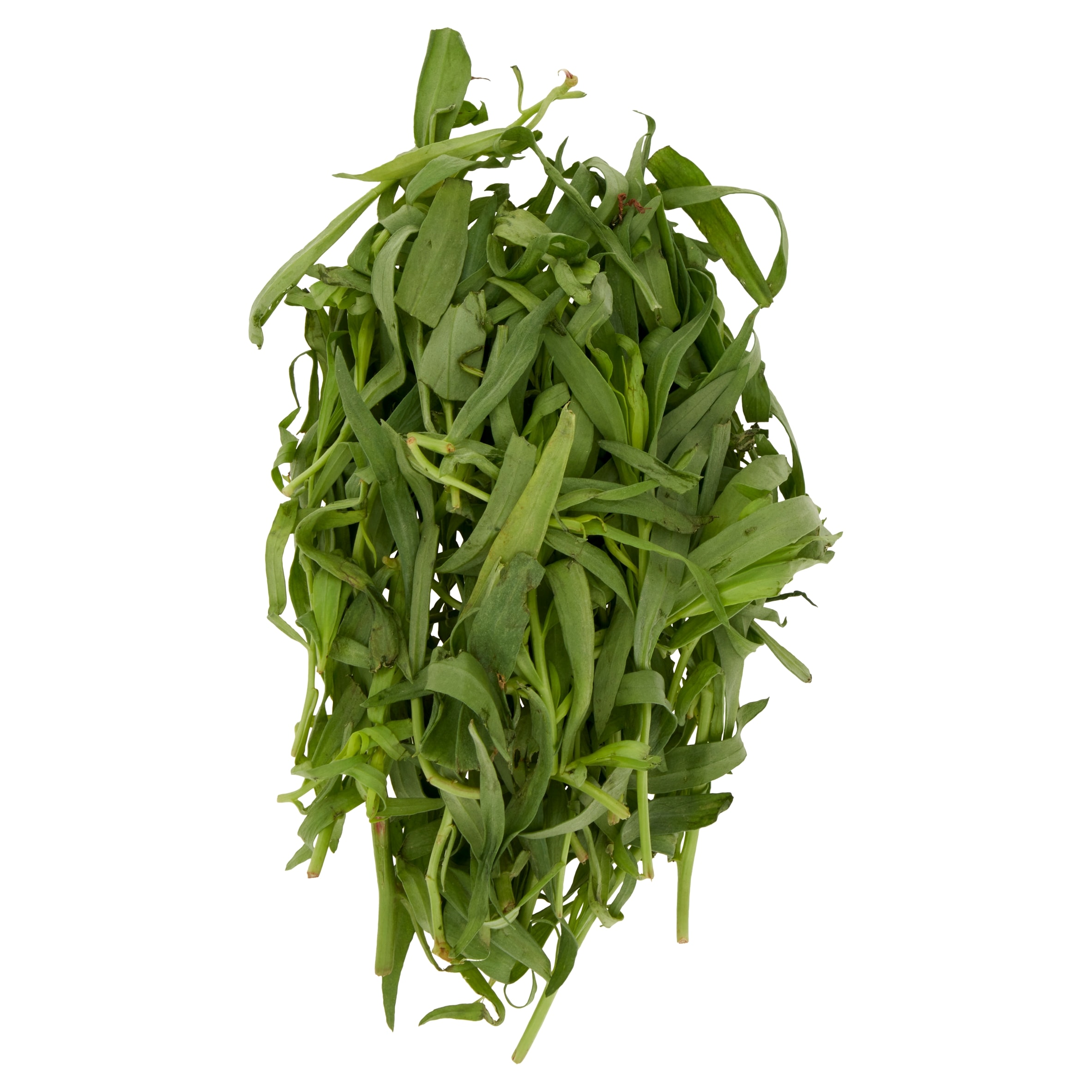 Tesco Tarragon 20G thumbnail 2