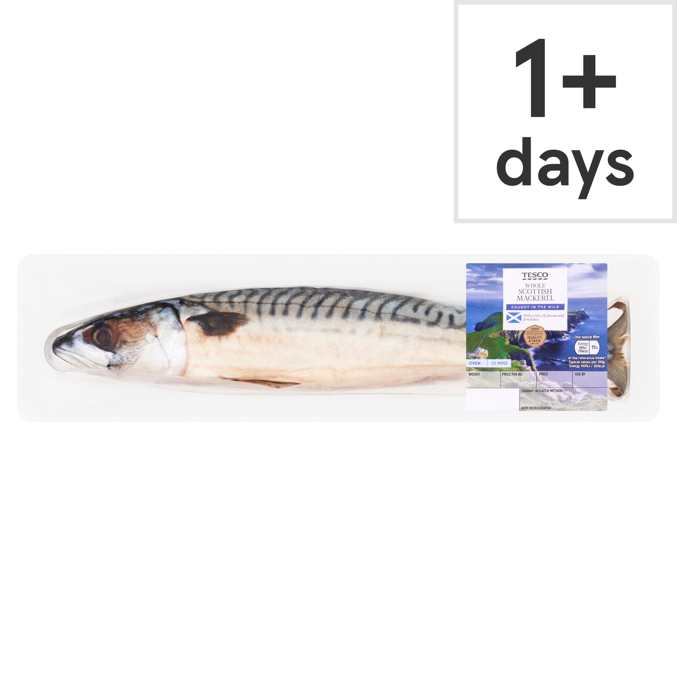 Tesco Whole Mackerel