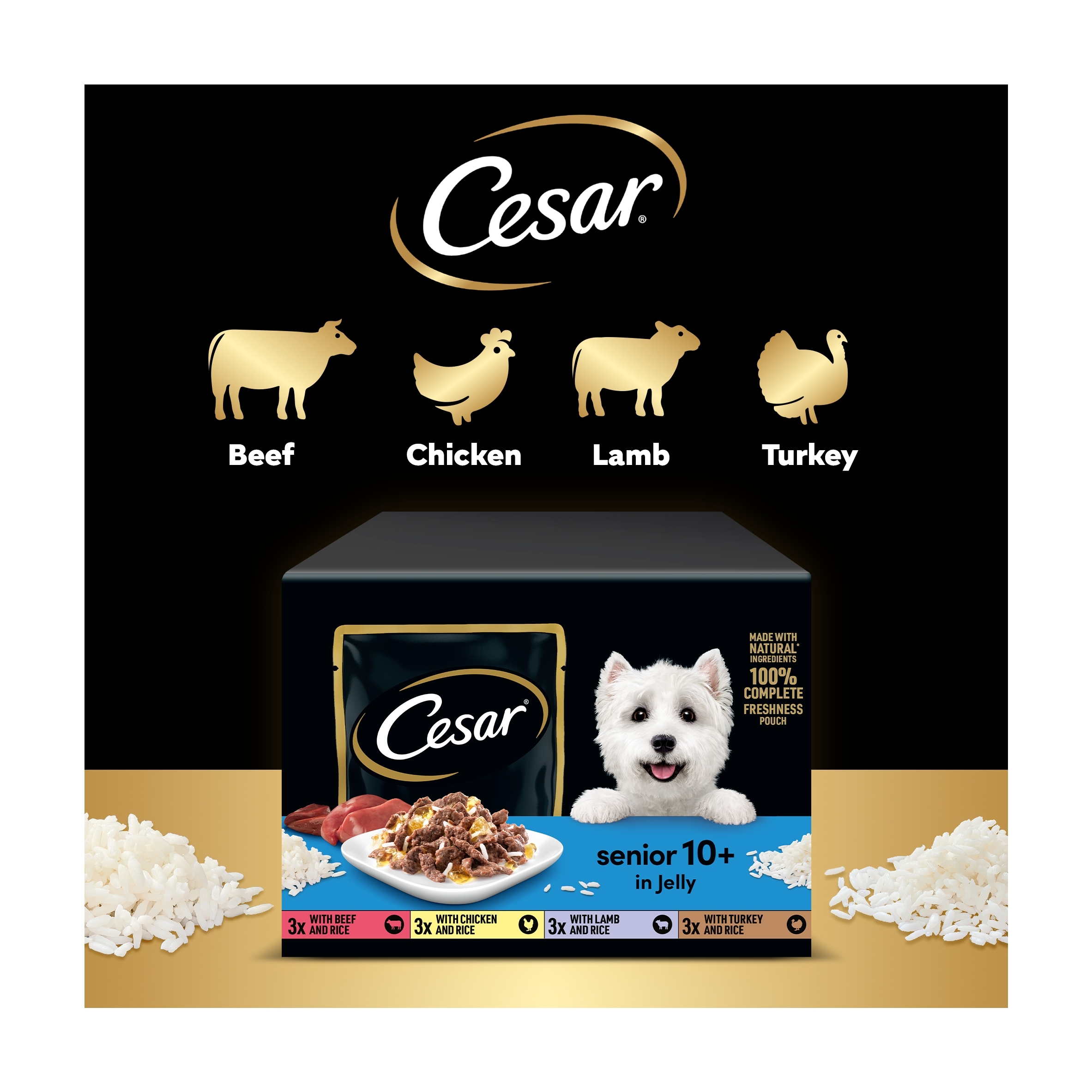 Cesar Senior Wet Dog Food Pouches Mixed in Jelly 12x100g thumbnail 4