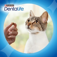DENTALIFE Dental Chicken Cat Treats 140g thumbnail 6