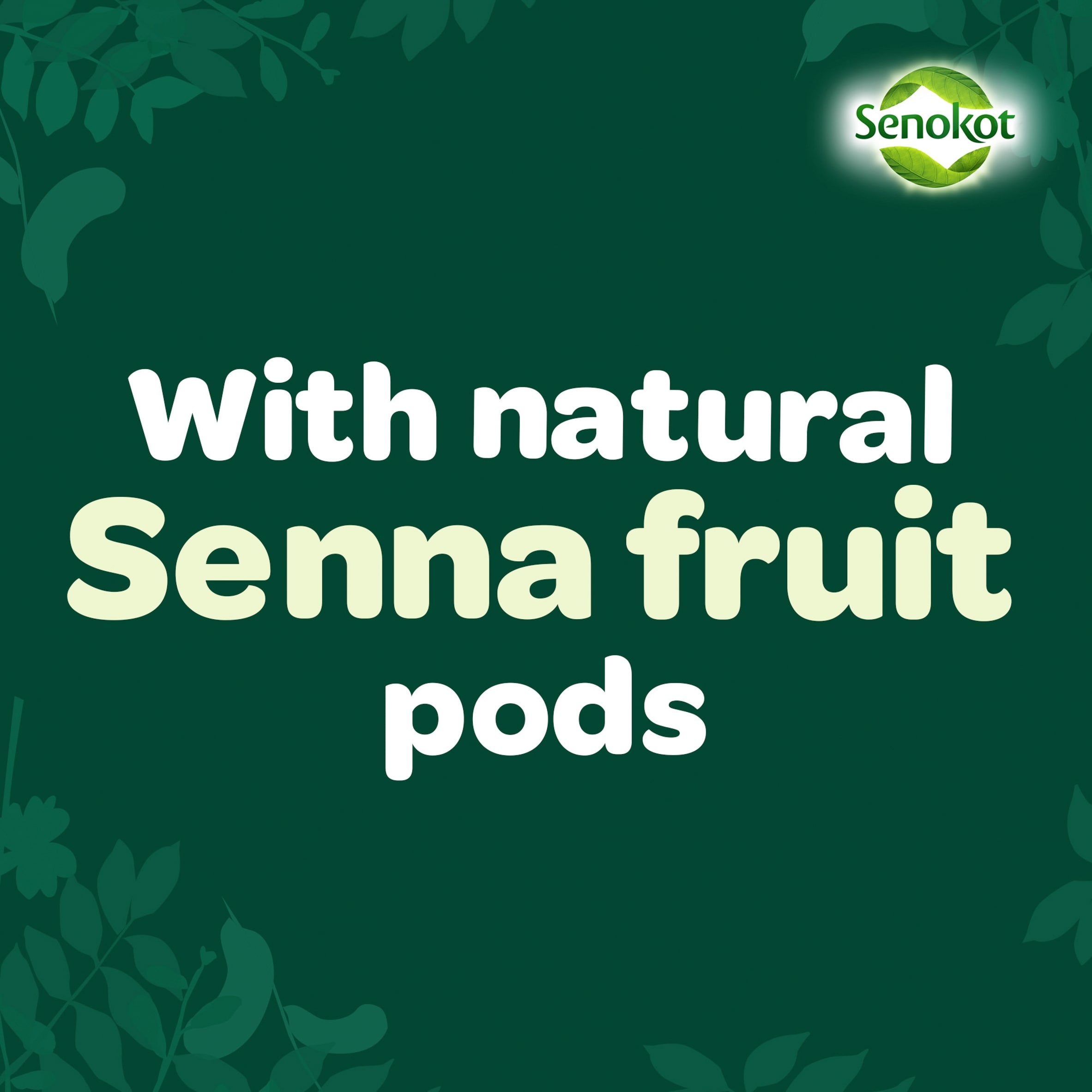 Senokot Adult Senna Fruit Laxative & Constipation Relief Tablets 20s thumbnail 4