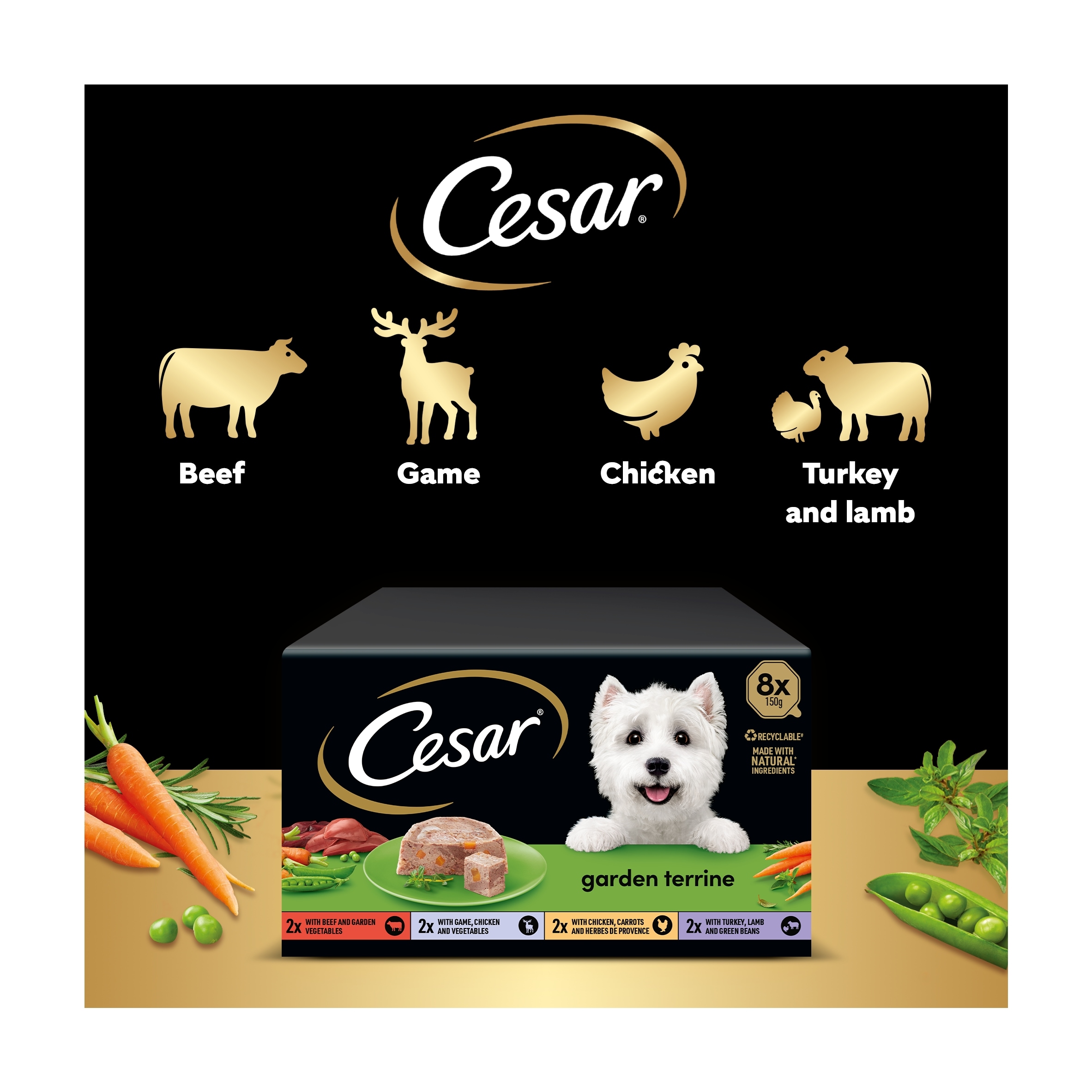 Cesar Garden Terrine Wet Dog Food Tray Mixed in Loaf 8x150g thumbnail 4