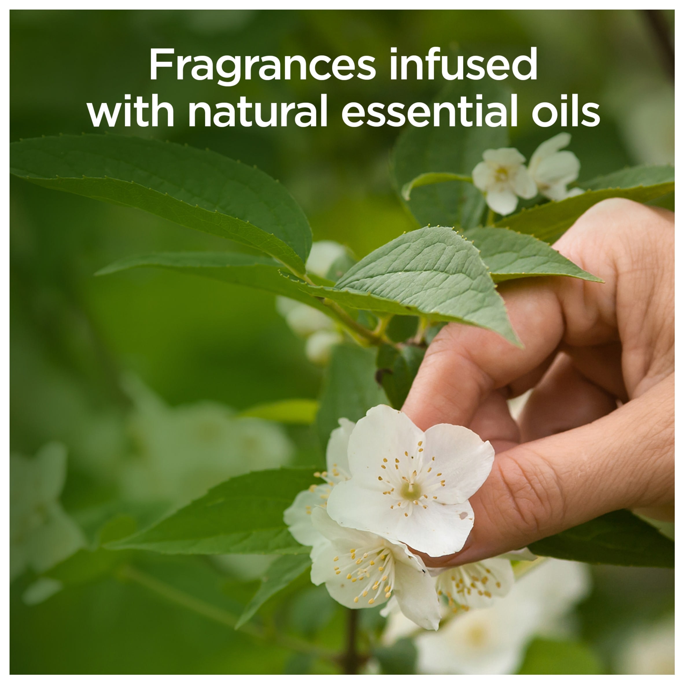 Air Wick Odour Neutralising Spray Eucalyptus & Freesia Air Freshener 237ml thumbnail 2
