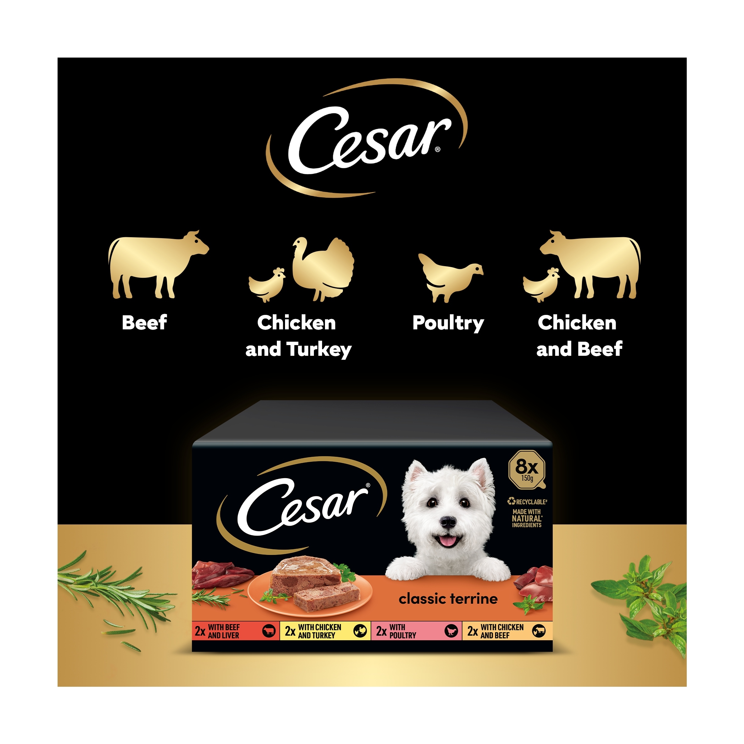 Cesar Classics Terrine Wet Dog Food Trays Mixed in Loaf 8 x 150g thumbnail 4