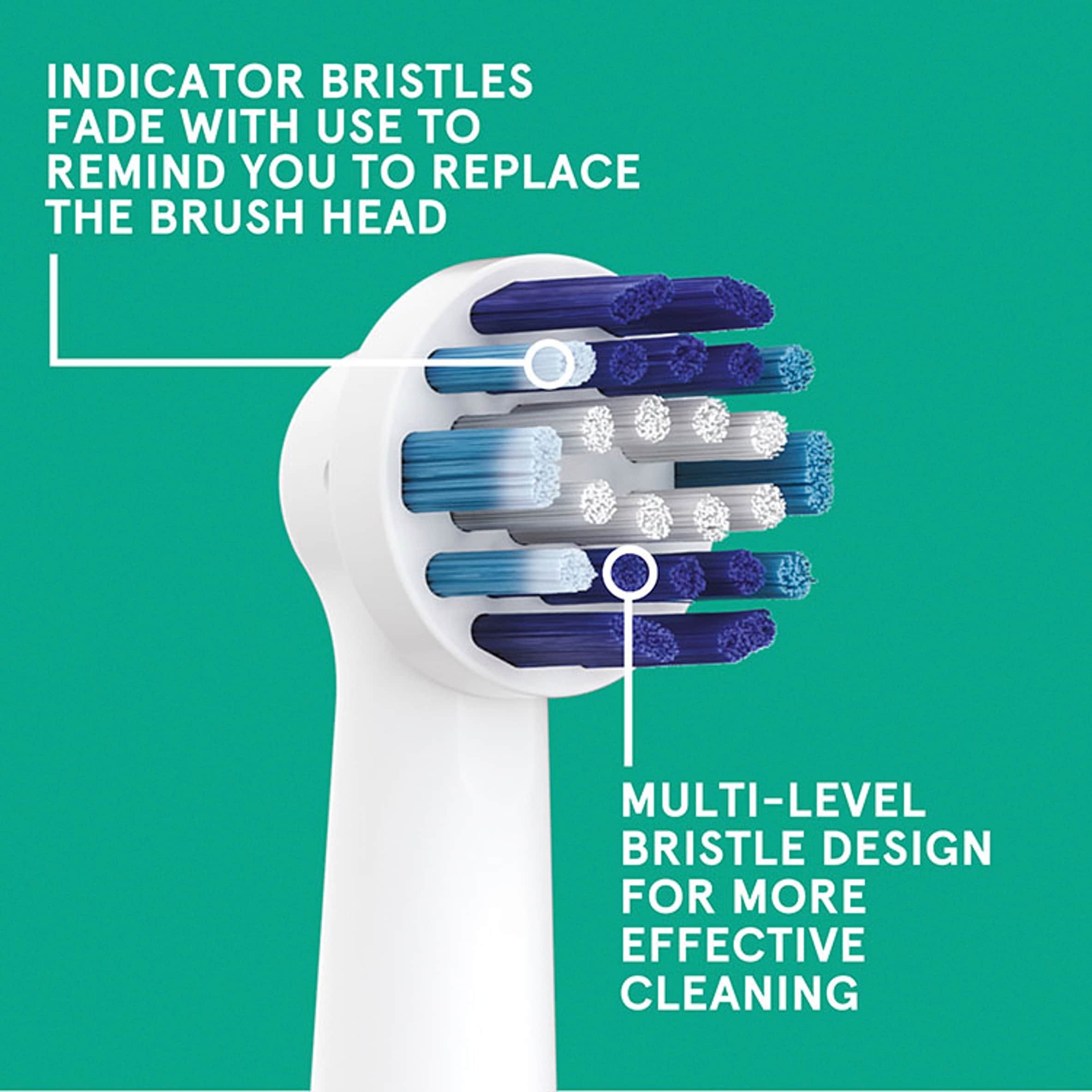 Pro Formula Replacement Brush Heads 8 Pack thumbnail 2