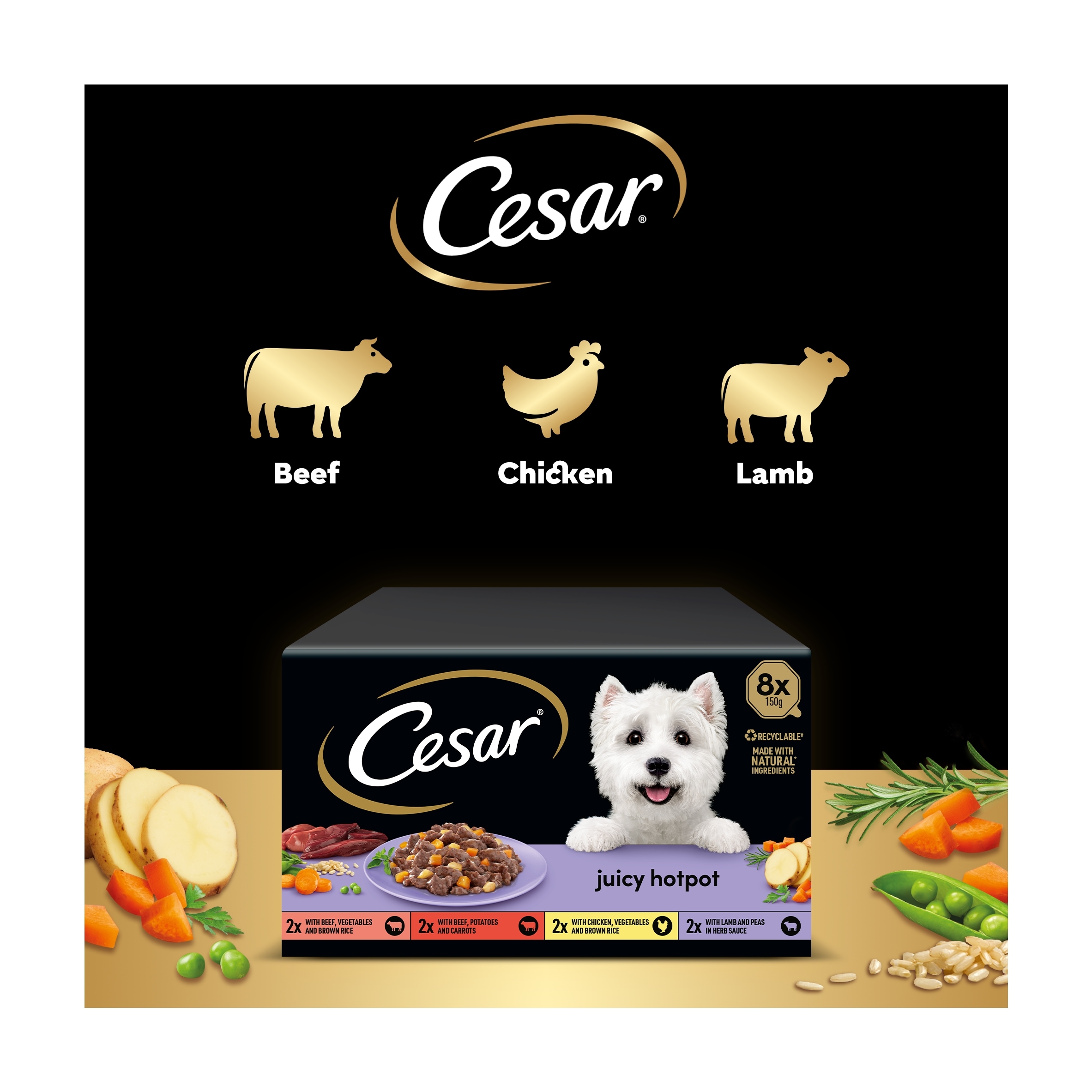 Cesar Juicy Hotpot Wet Dog Food Tray Mixed in Gravy 8x150g thumbnail 4