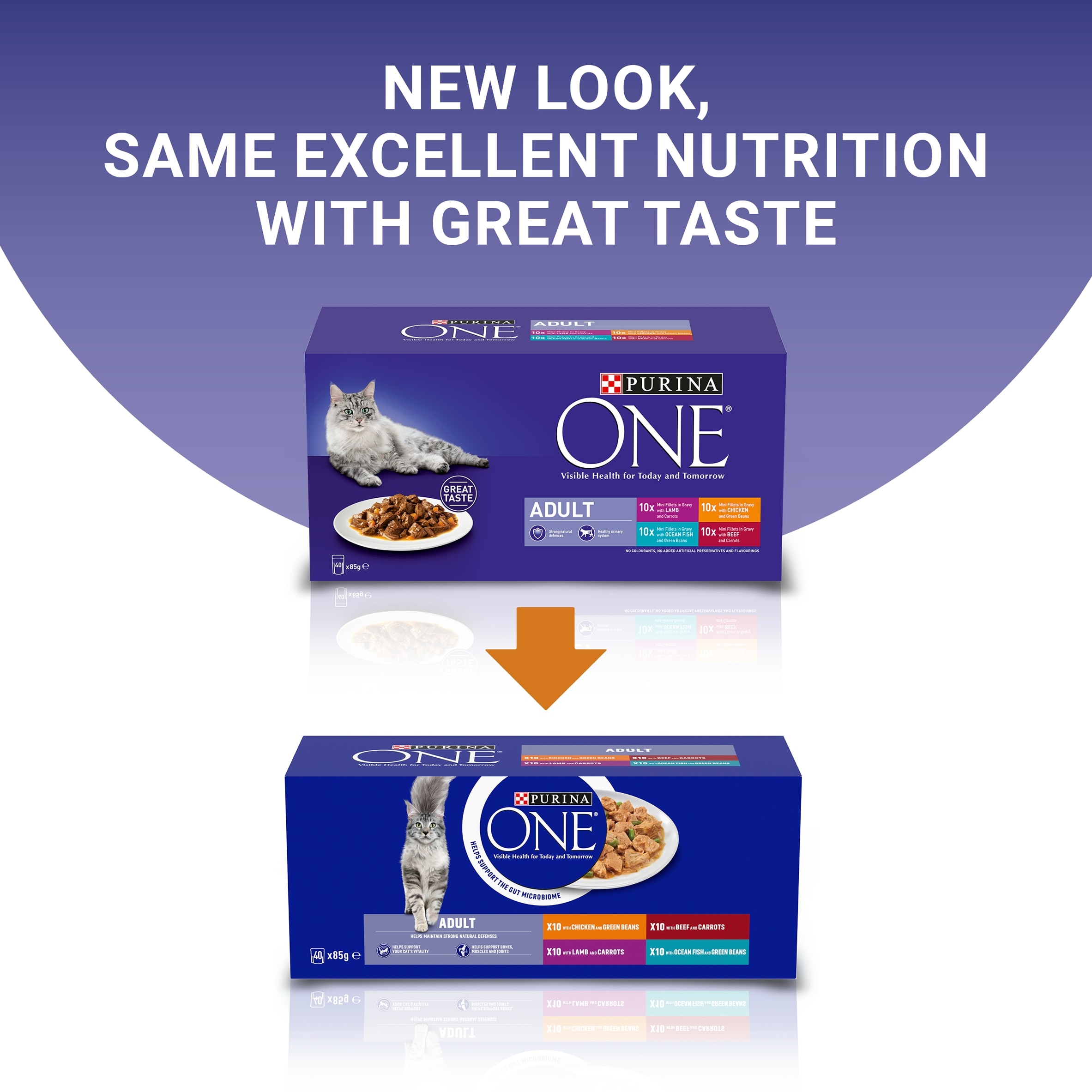 PURINA ONE Mini Fillets Mixed Selection in Gravy Wet Cat Food 40x85g thumbnail 2