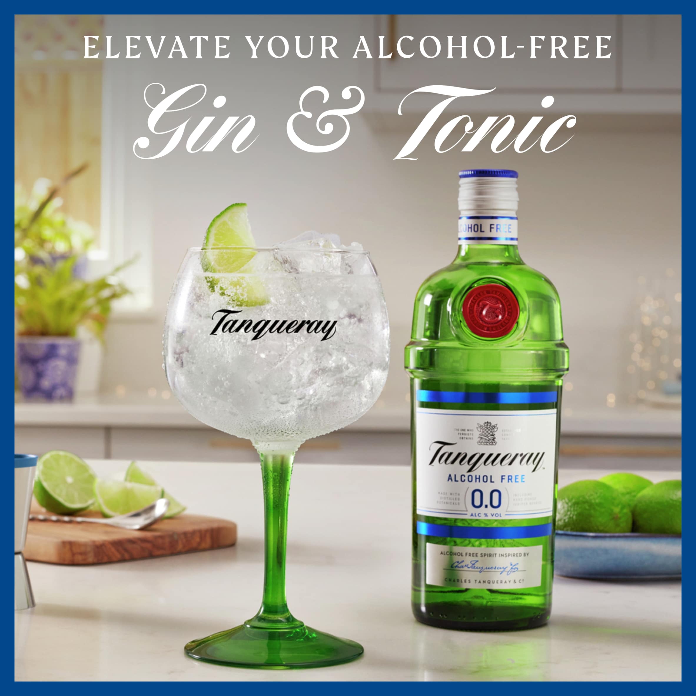 Tanqueray Alcohol Free 0% Spirit 70Cl thumbnail 3
