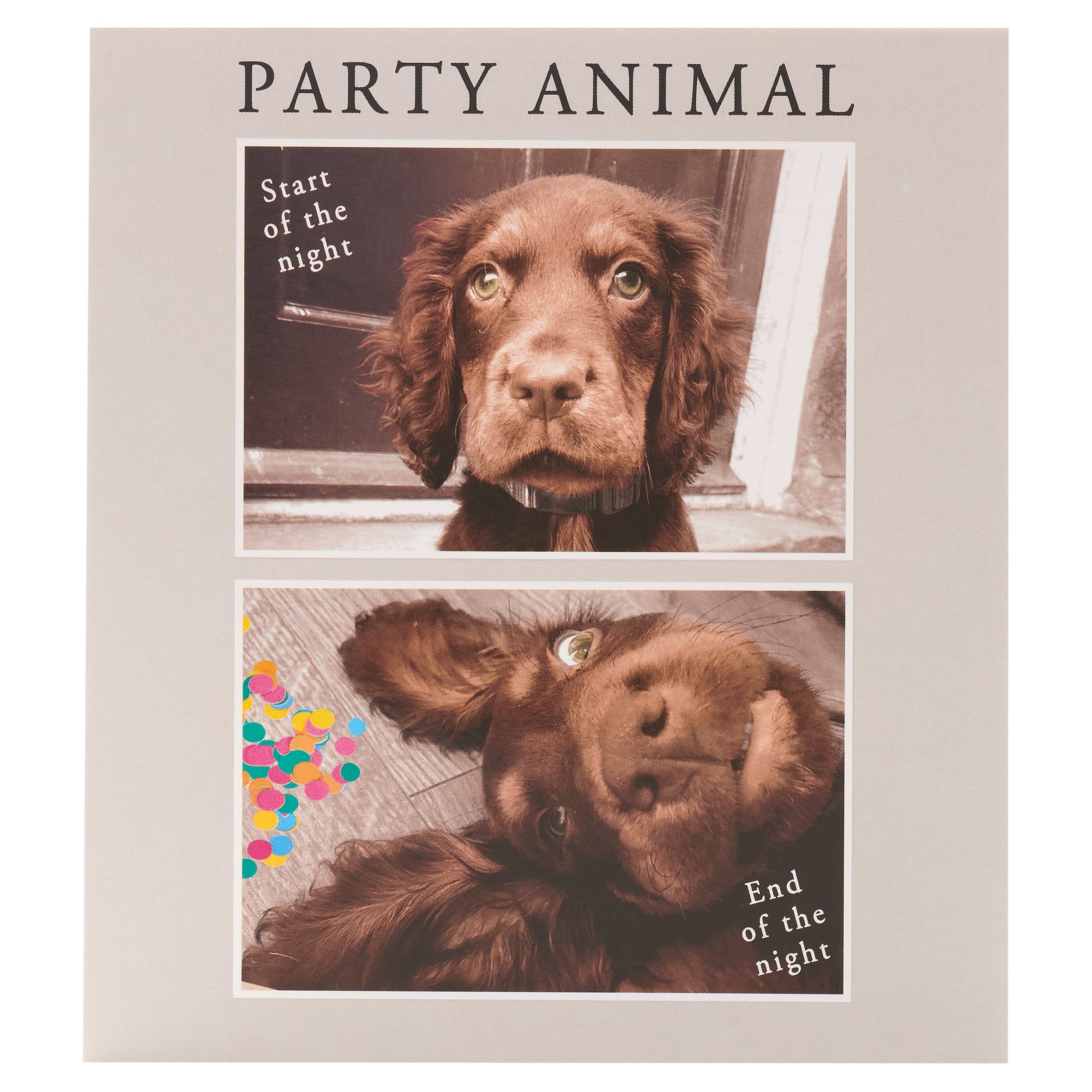 Inkdrops Birthday Card Party Animal (Humour)