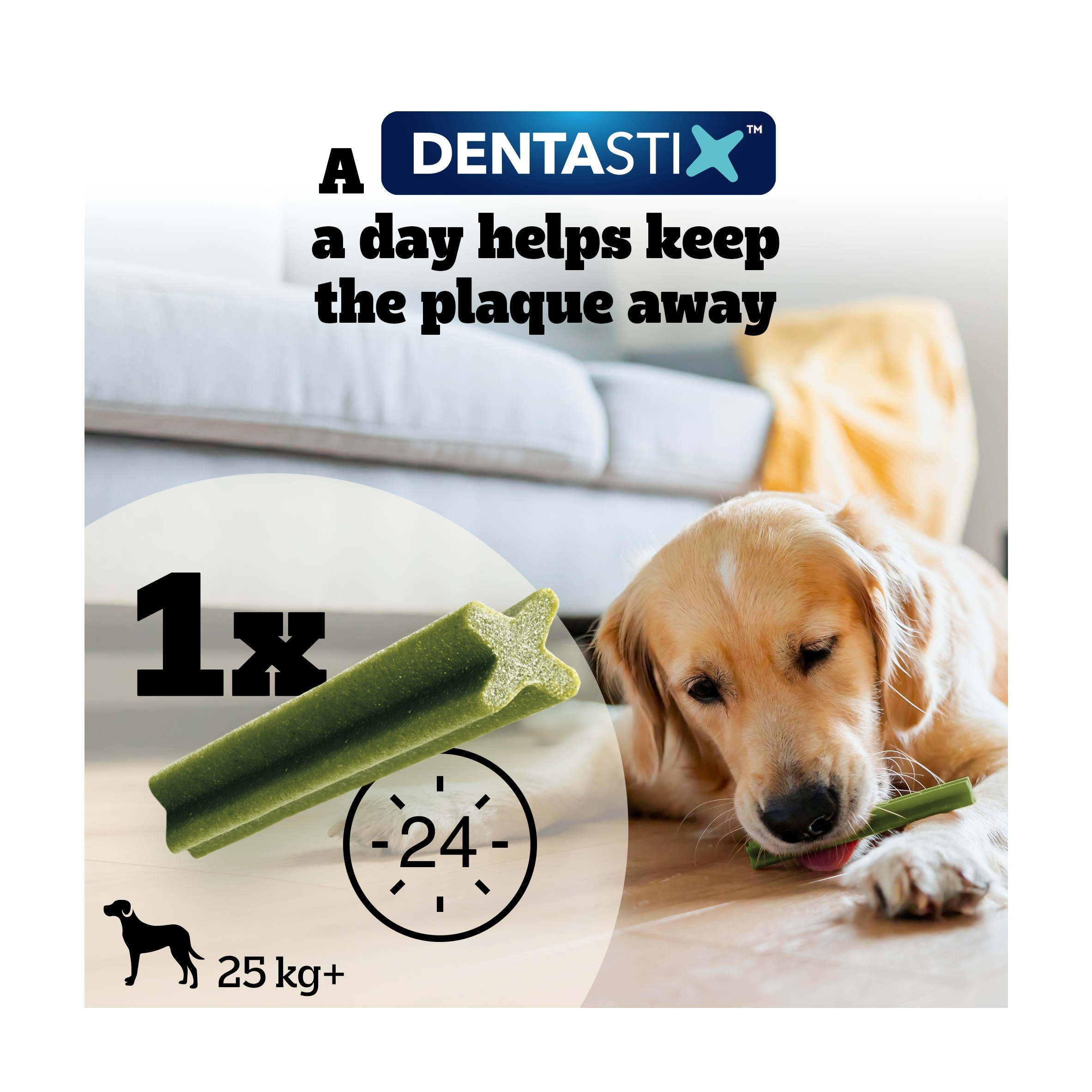 Pedigree Dentastix Fresh Large Dog Treats 21 Dental Sticks thumbnail 5