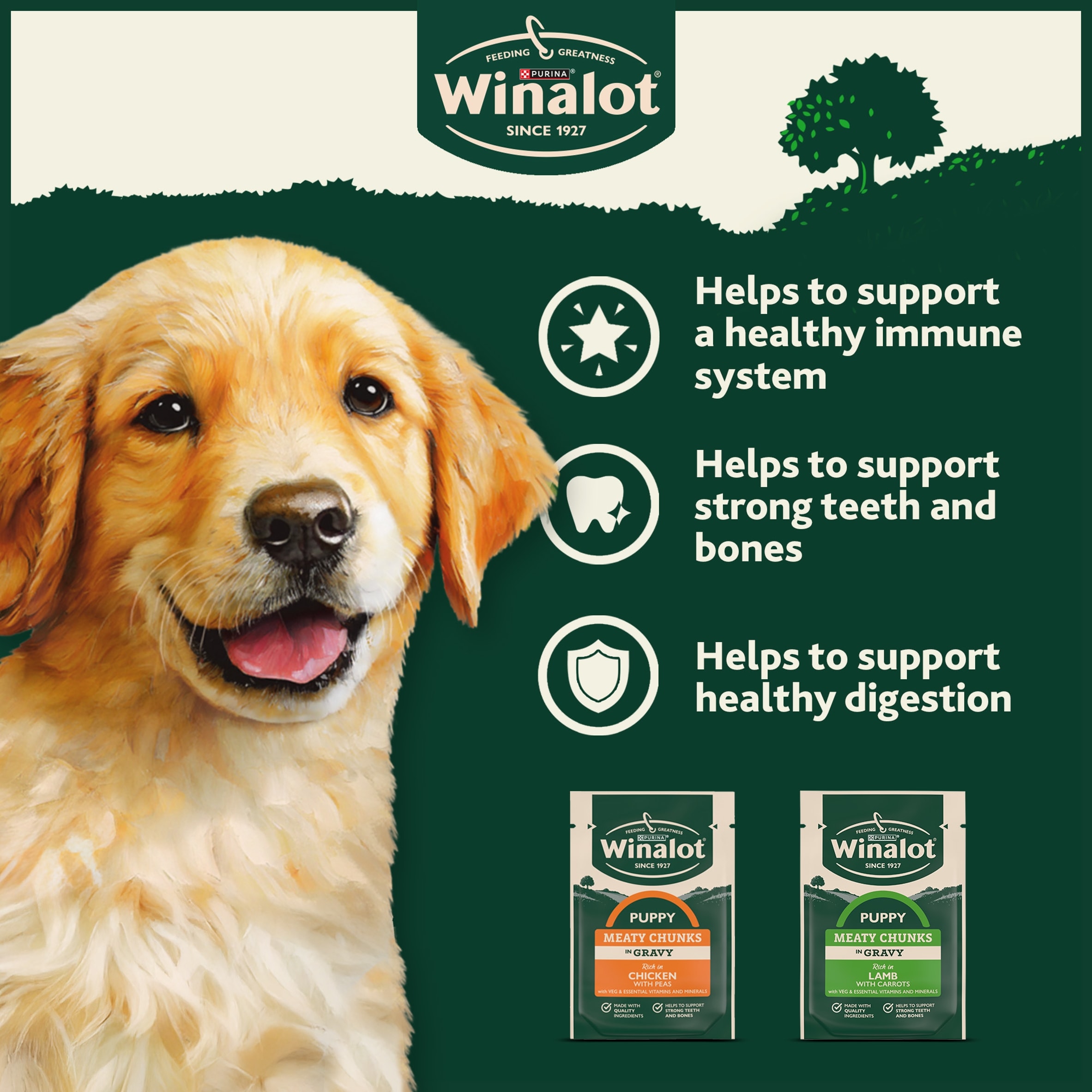 WINALOT Meaty Chunks Puppy Mixed in Gravy Wet Dog Food 12x100g thumbnail 4