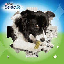 DENTALIFE ActivFresh Small Dental Chicken Dog Chews 7 Sticks thumbnail 4