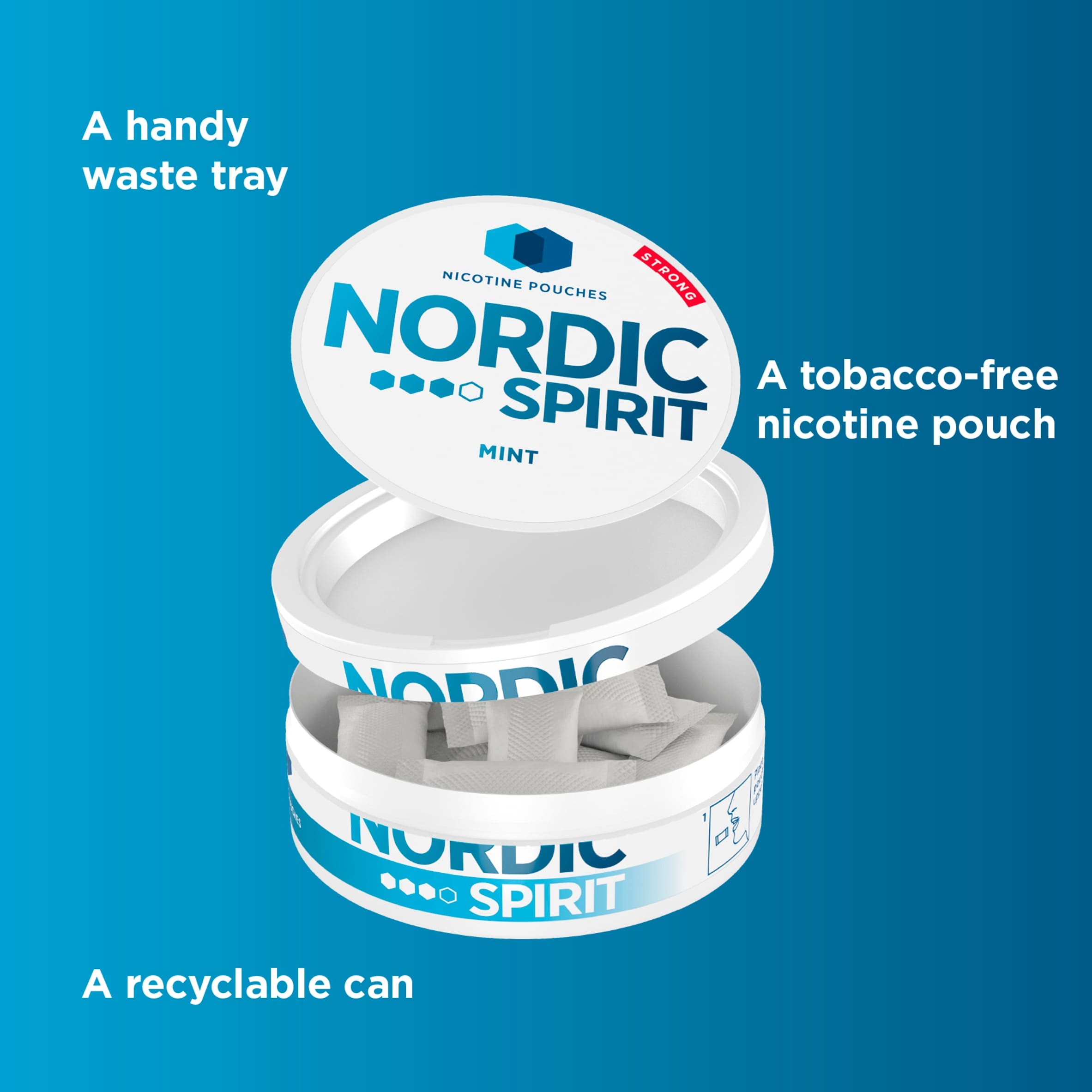 Nordic Spirit Mint Strong 9Mg thumbnail 4