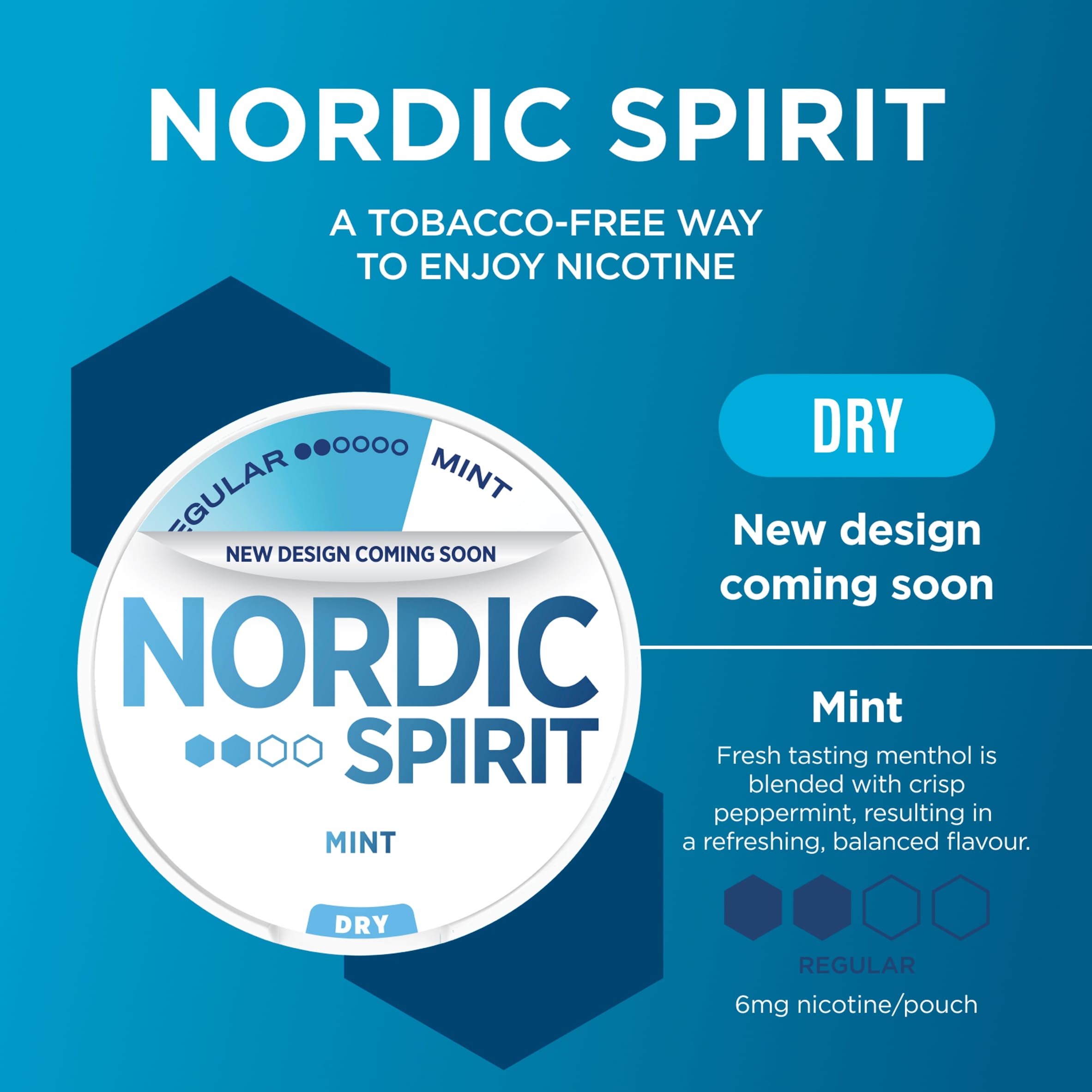 Nordic Spirit Mint Regular 6Mg Pouches X 20 thumbnail 2