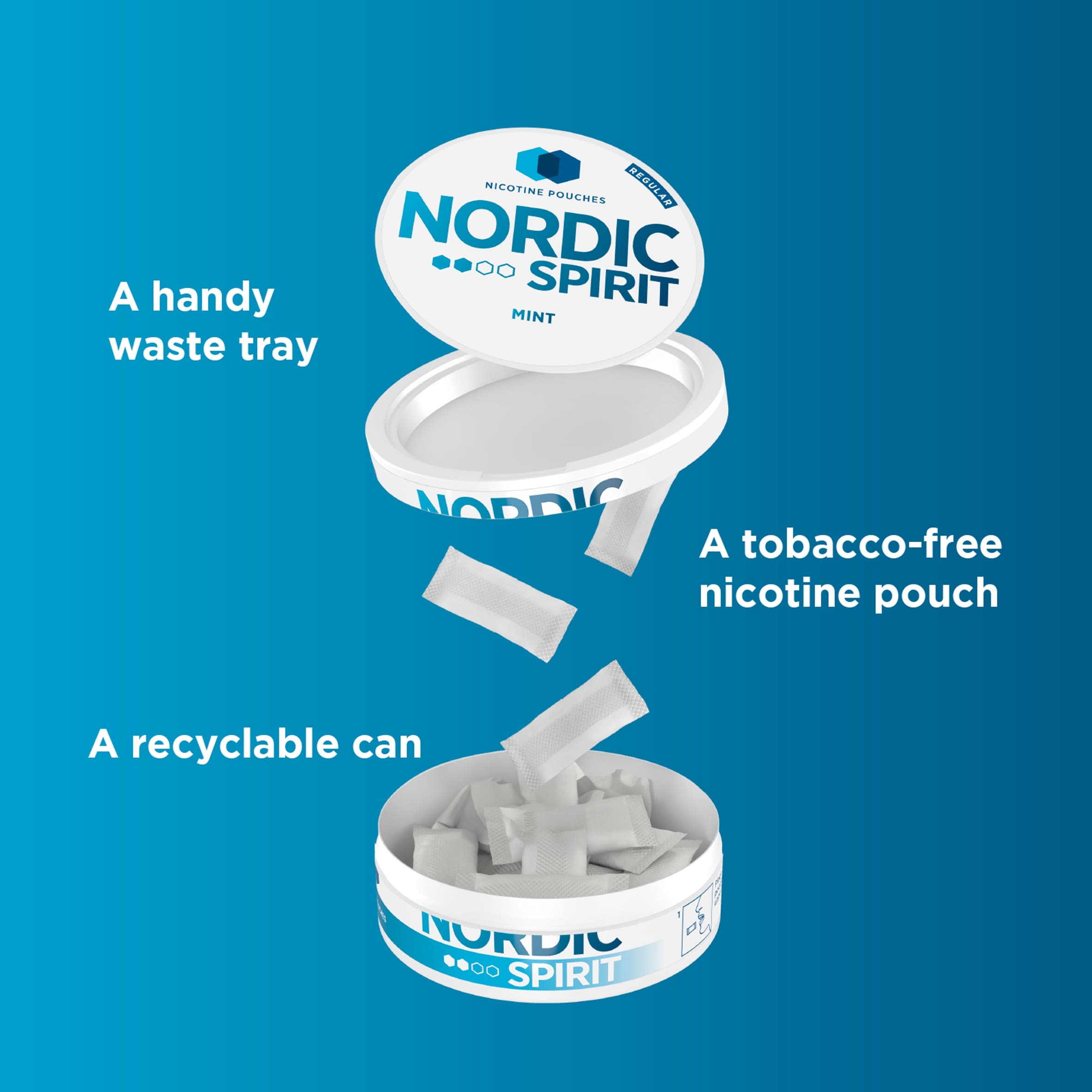 Nordic Spirit Mint Regular 6Mg Pouches X 20 thumbnail 4