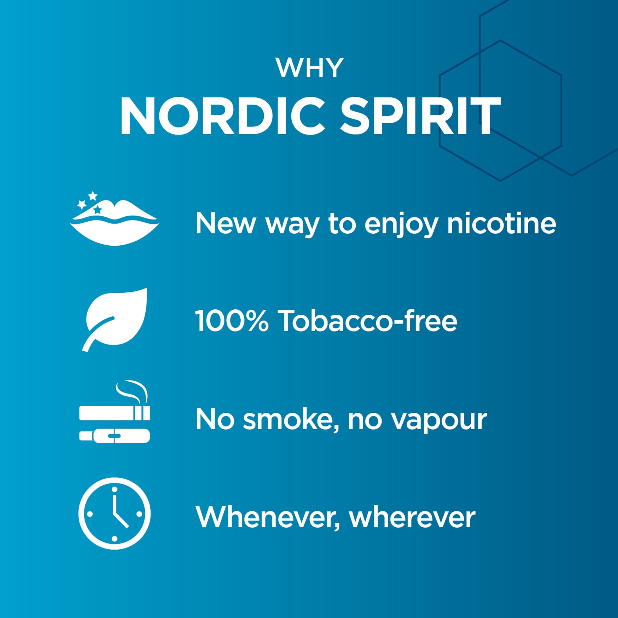 Nordic Spirit Mint Regular 6Mg Pouches X 20 thumbnail 5
