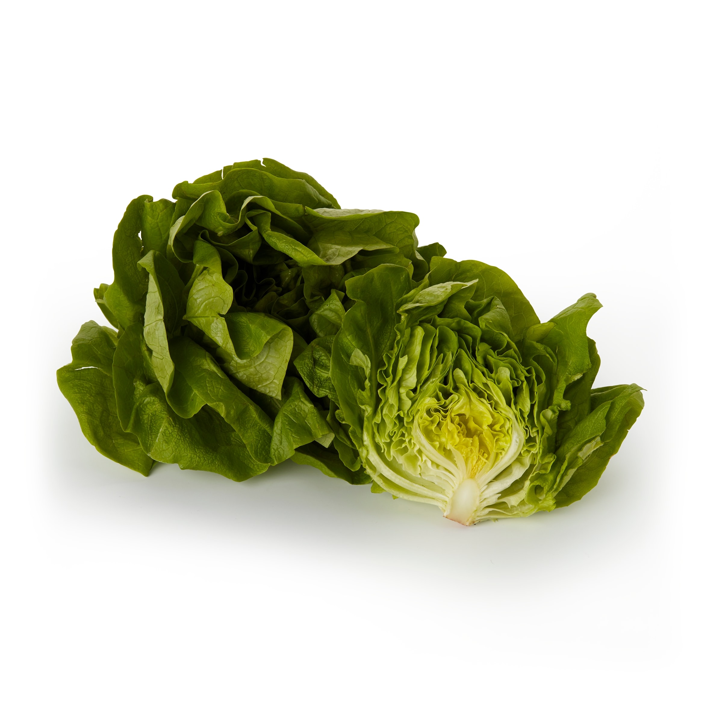Tesco Butterhead Lettuce thumbnail 2